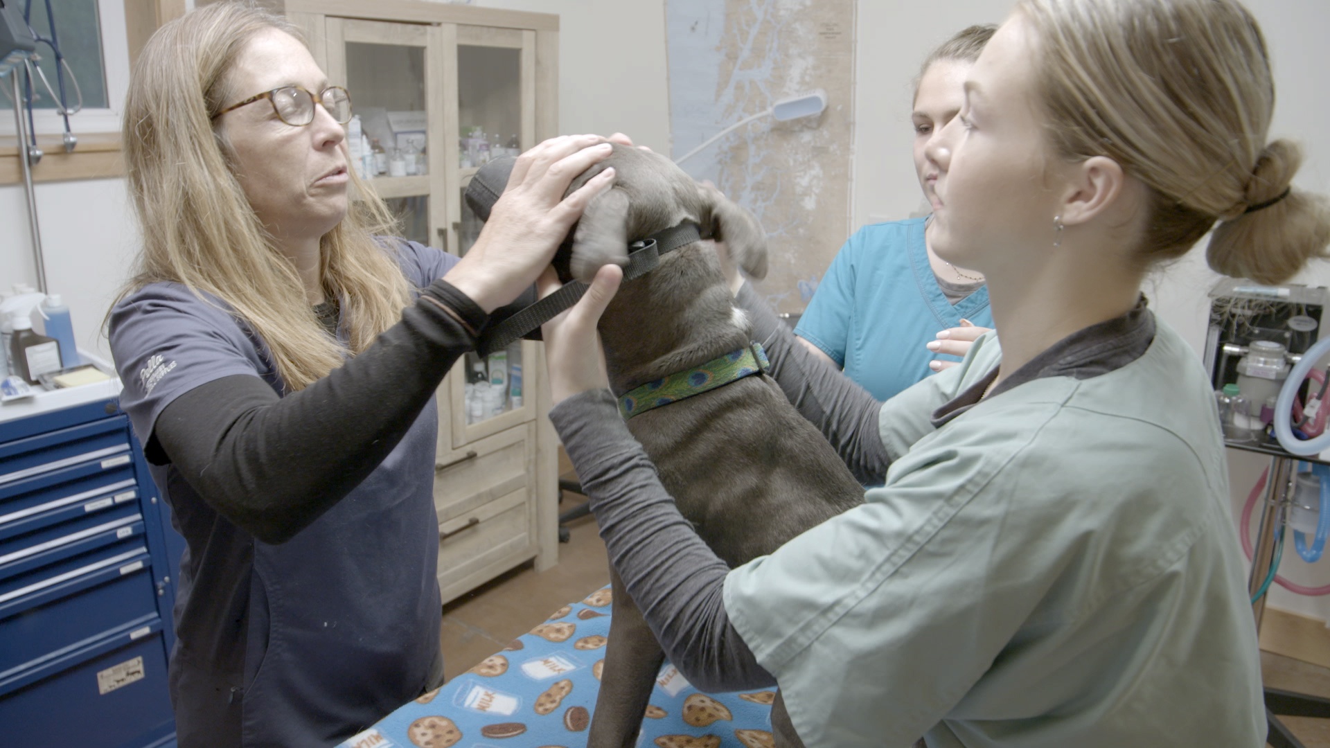 Ep708_SpitAndRun_DrOakleyYukonVet_LR_06.jpg