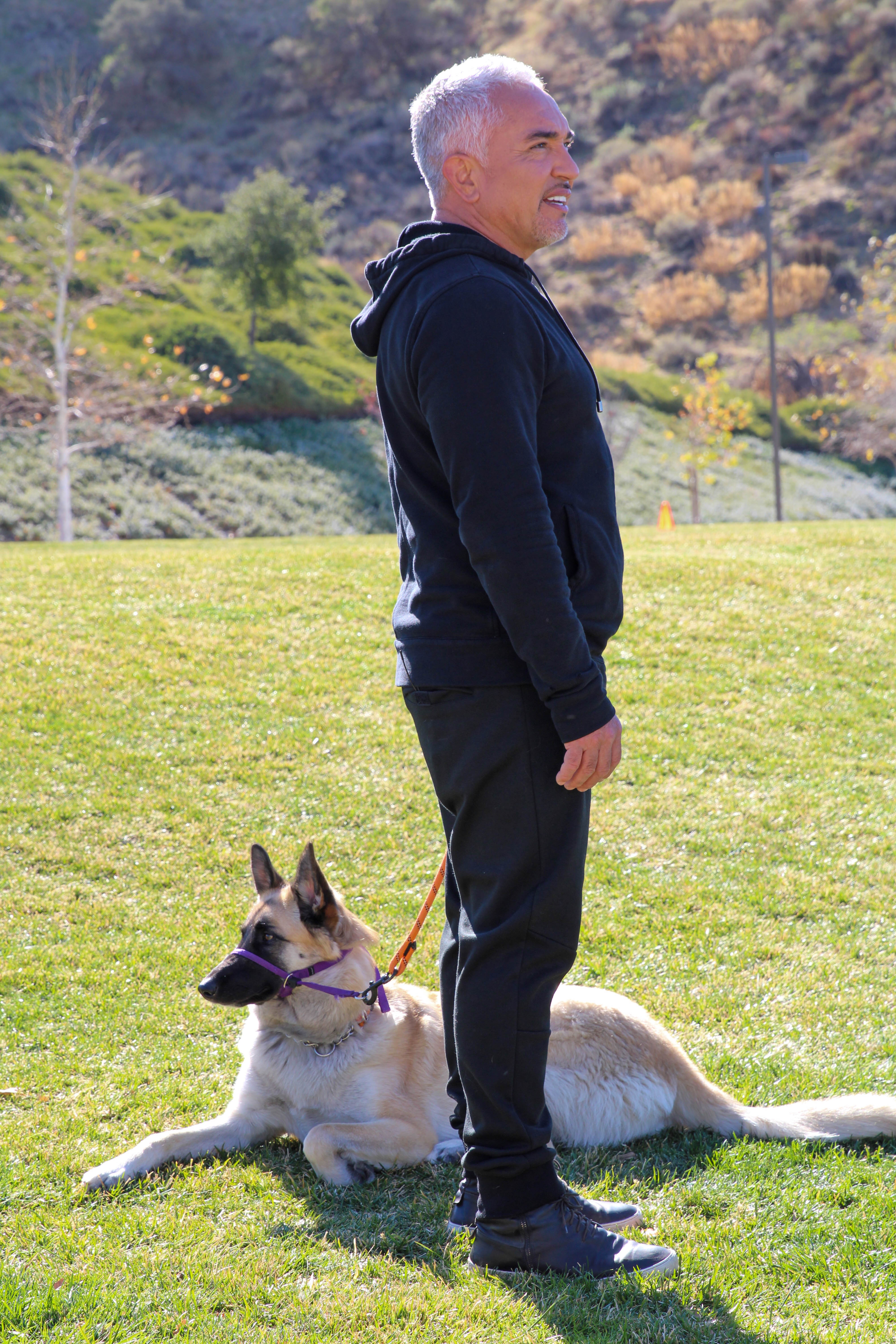 Cesar Millan - Tel maître, tel chien - Confiance aveugle 2.jpg
