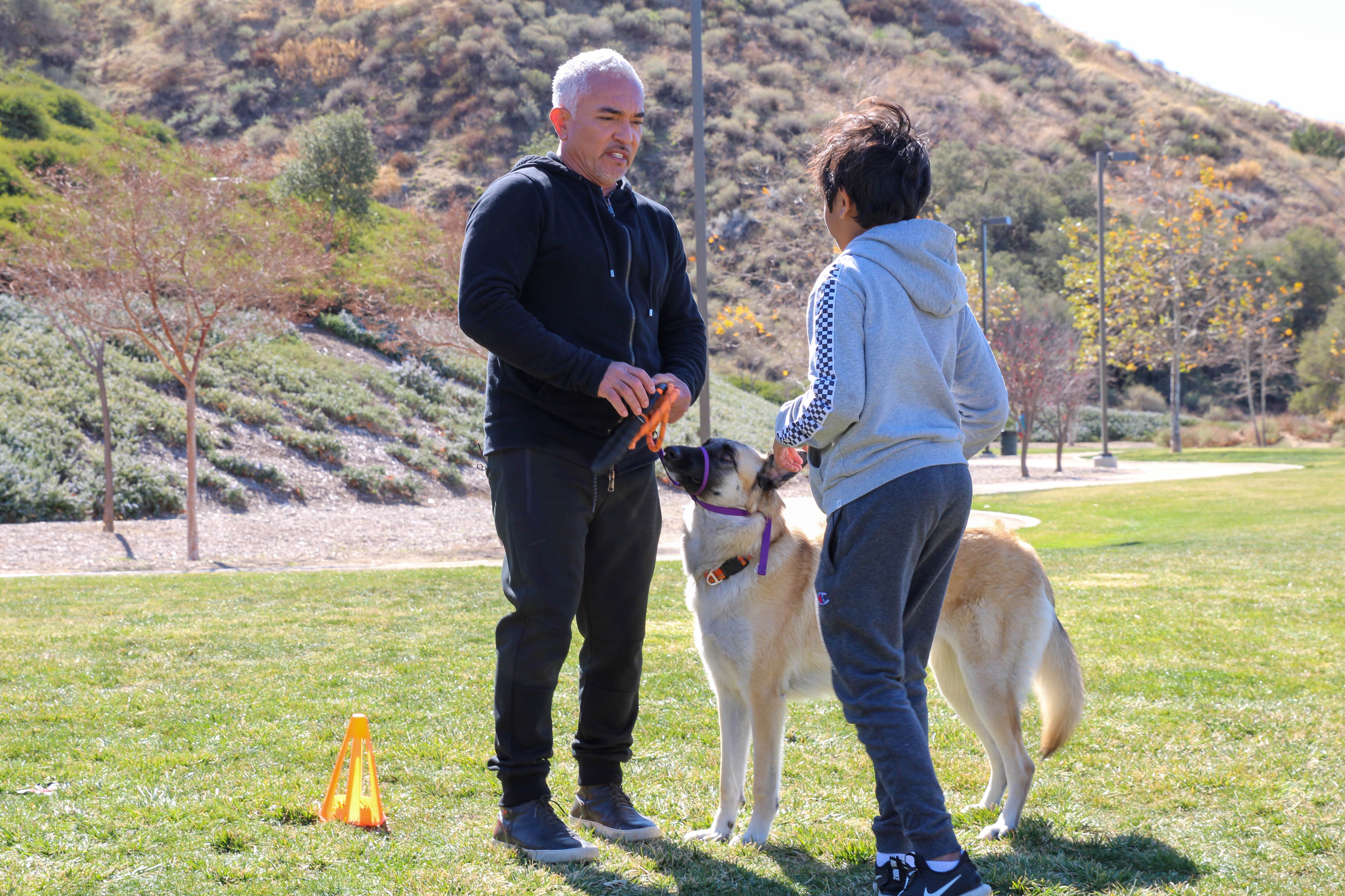 Cesar Millan - Tel maître, tel chien - Confiance aveugle 5.jpg