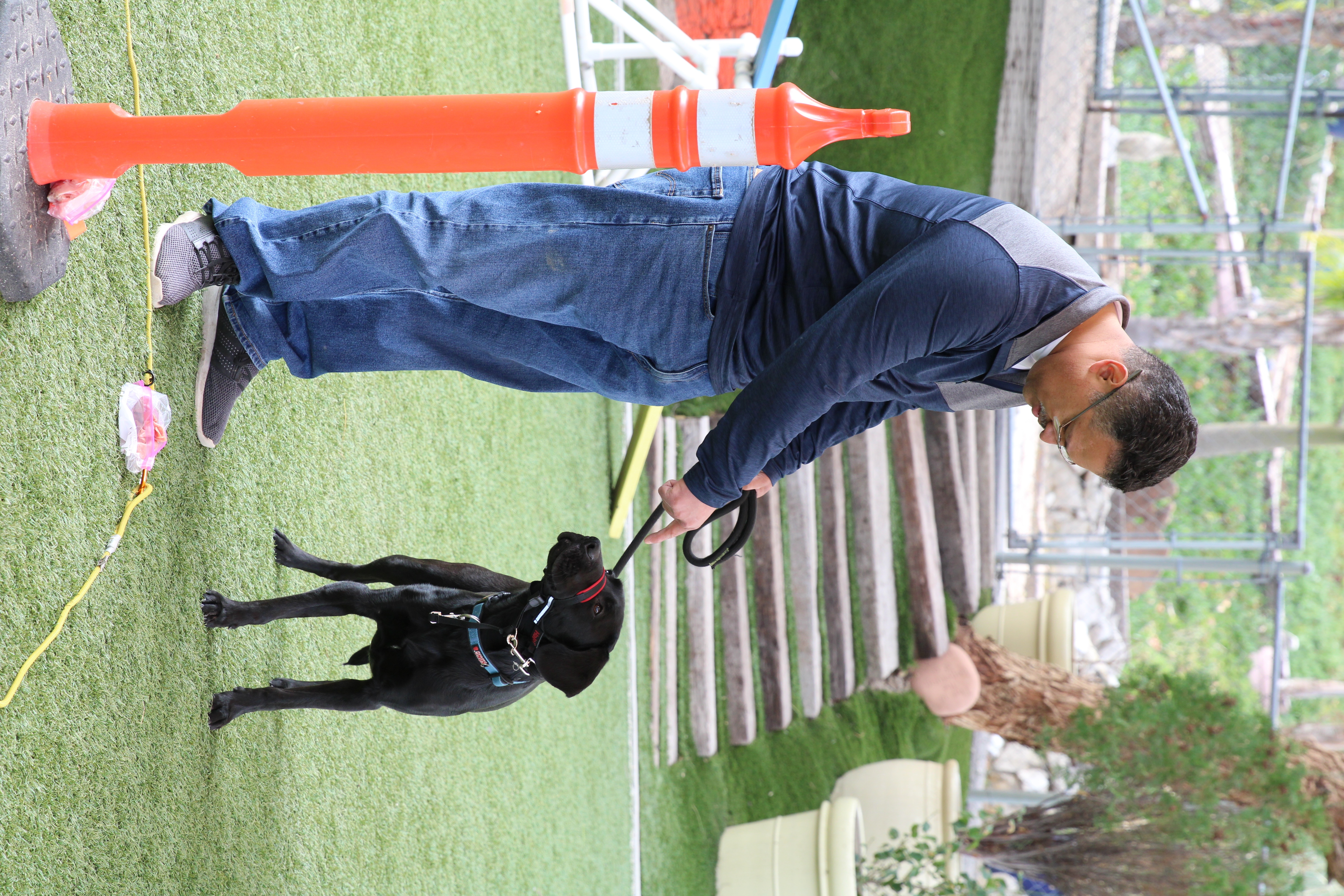 Cesar Millan - Tel maître, tel chien - Vaincre le traumatisme 6.jpg