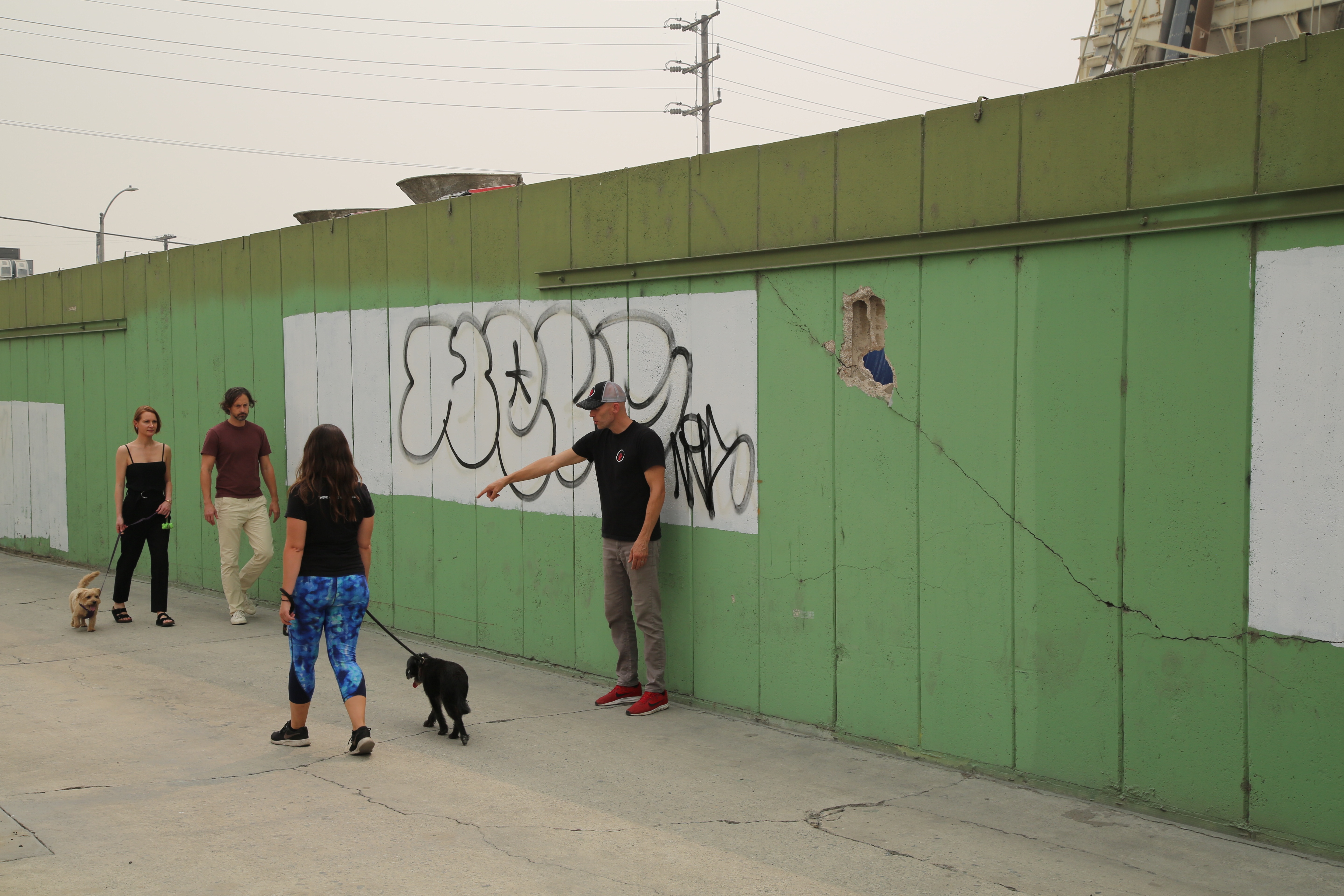 Dog Impossible - Promenade sous haute tension 1.jpg