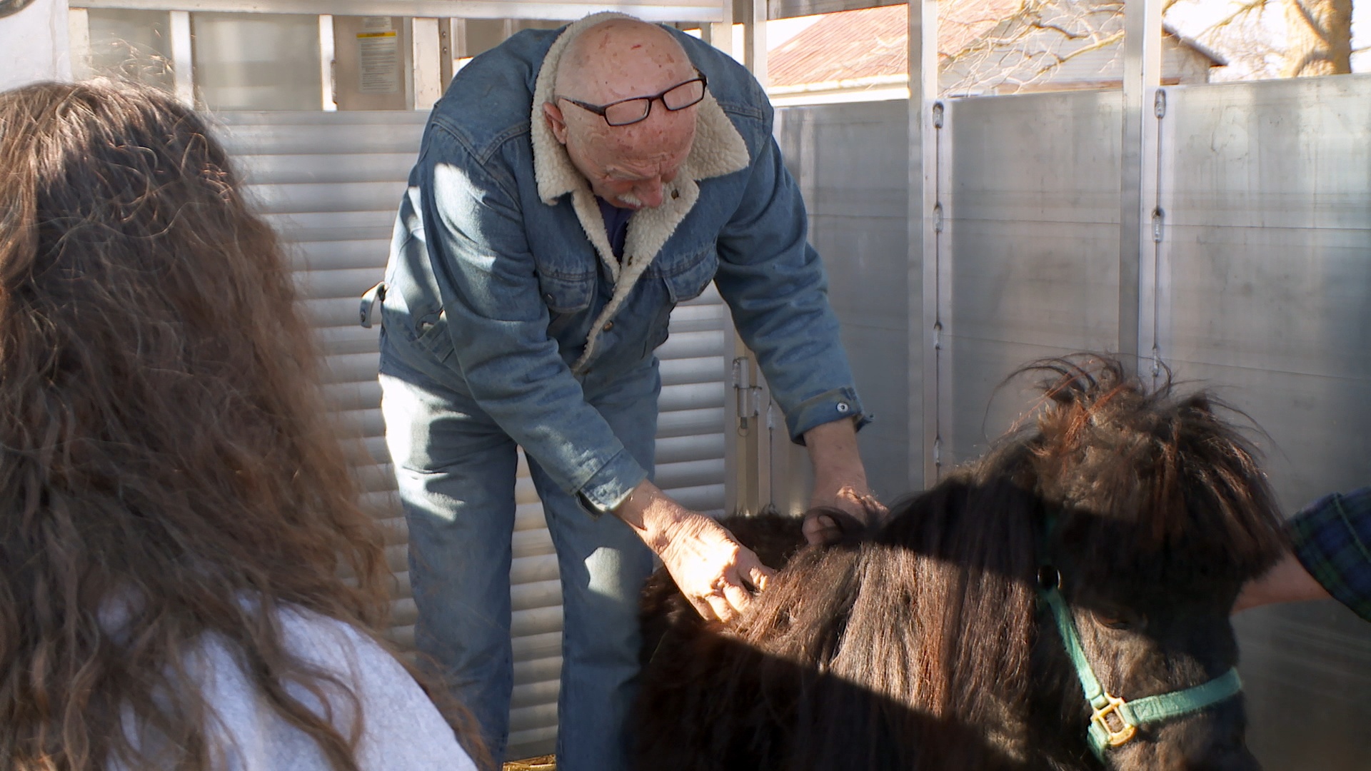 L'incroyable Dr Pol - Un dogue allemand à la fois 2.JPG