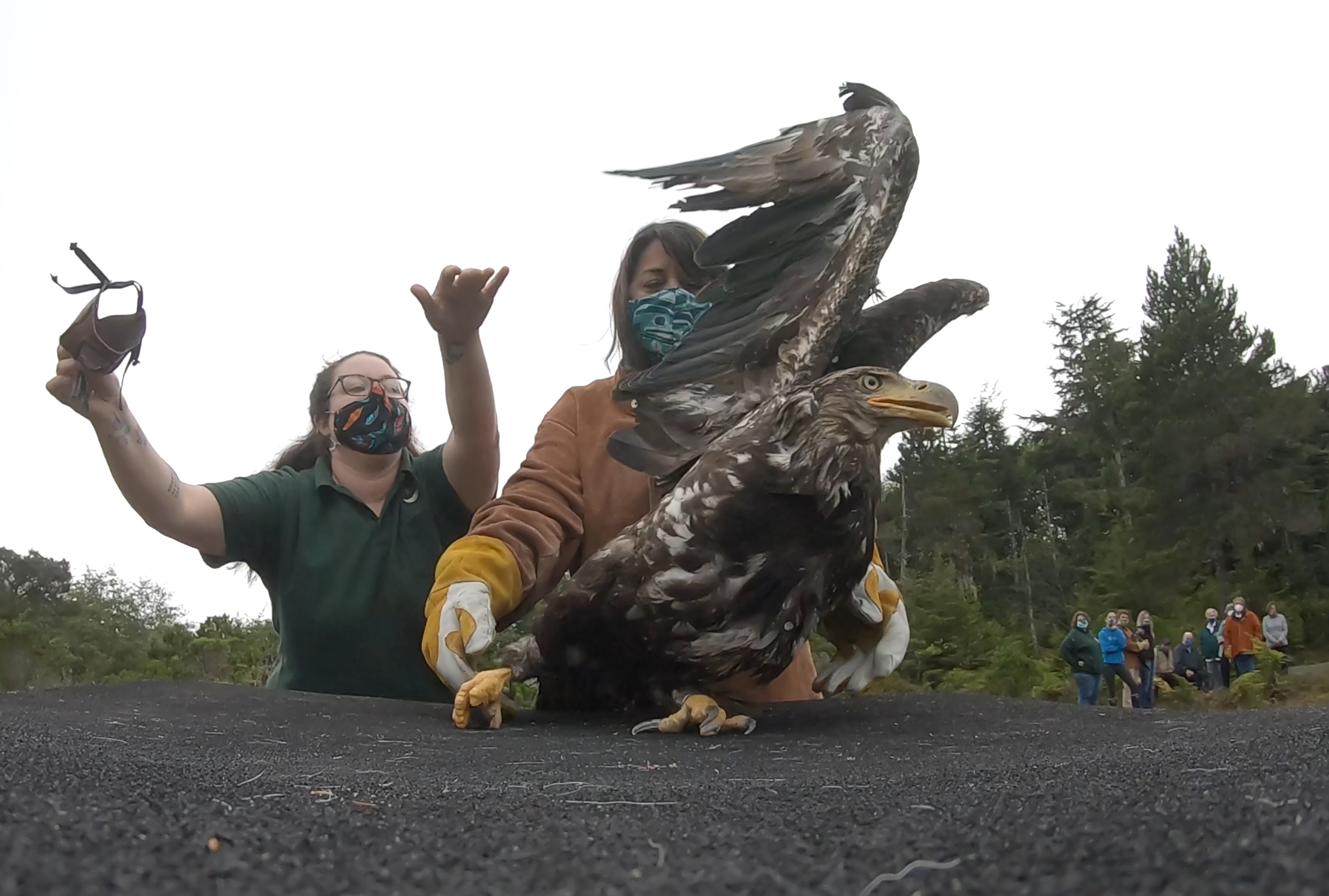 SOS Animaux Alaska 2.jpg