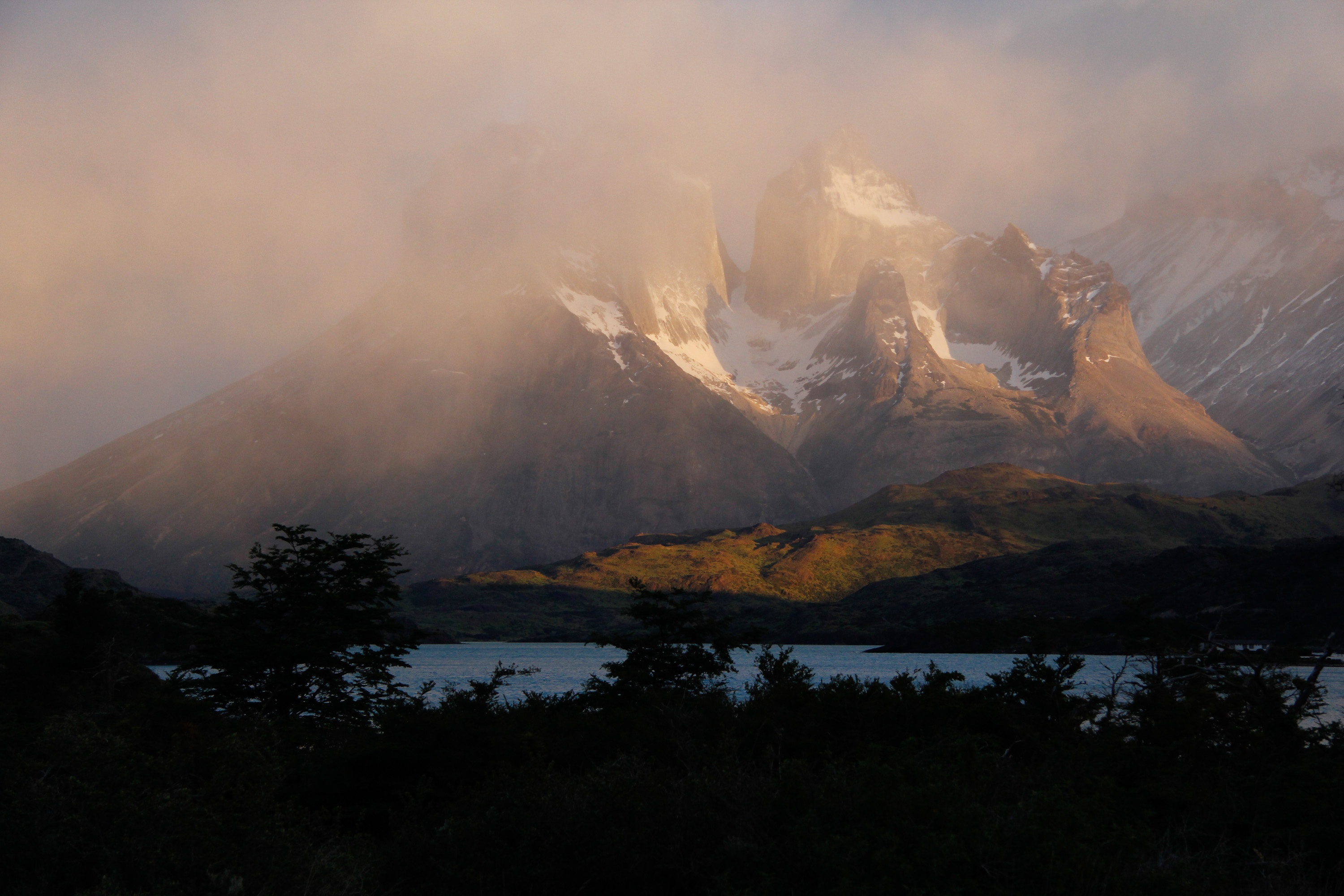 Puma, lion des Andes 3.jpg