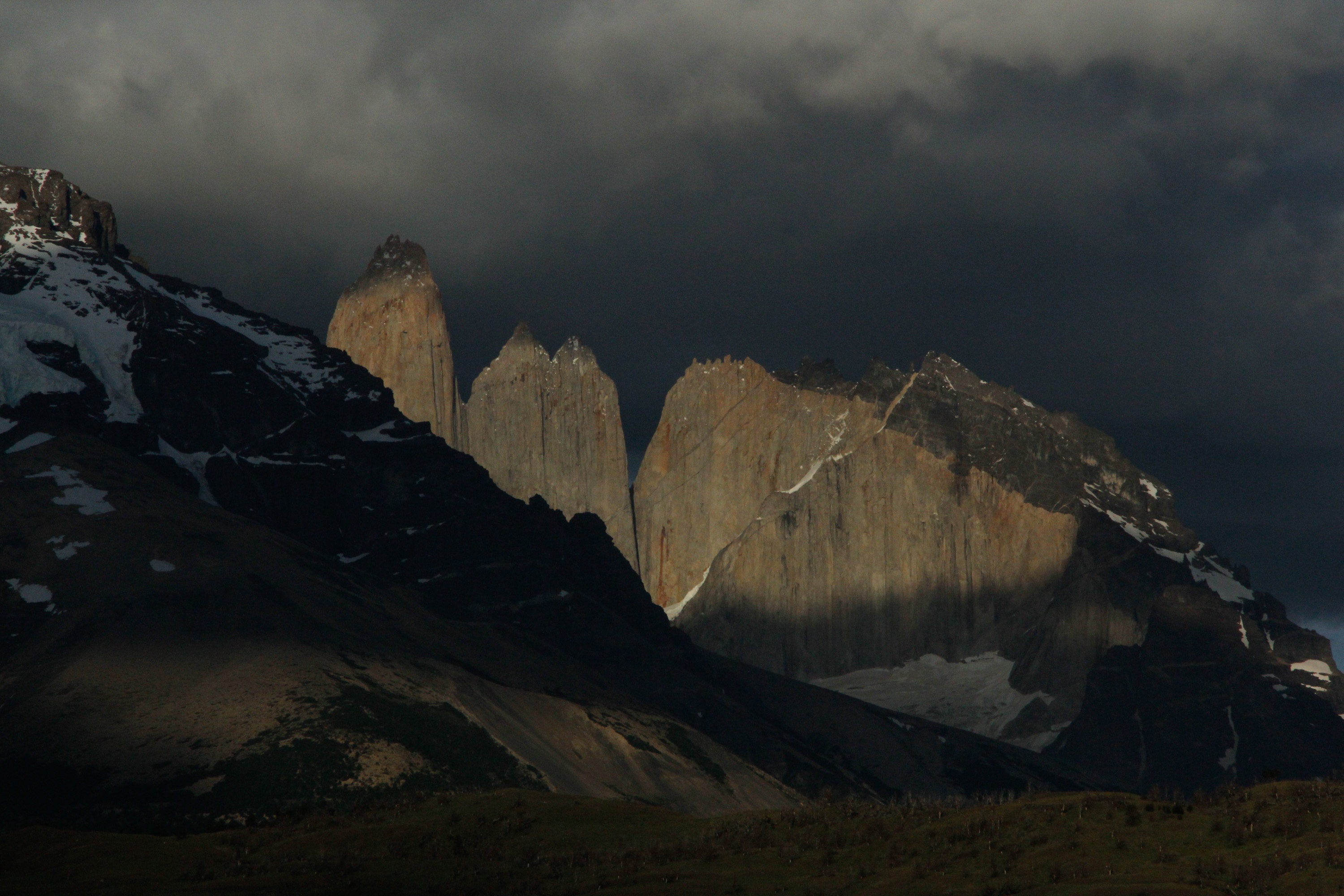 Puma, lion des Andes 6.jpg