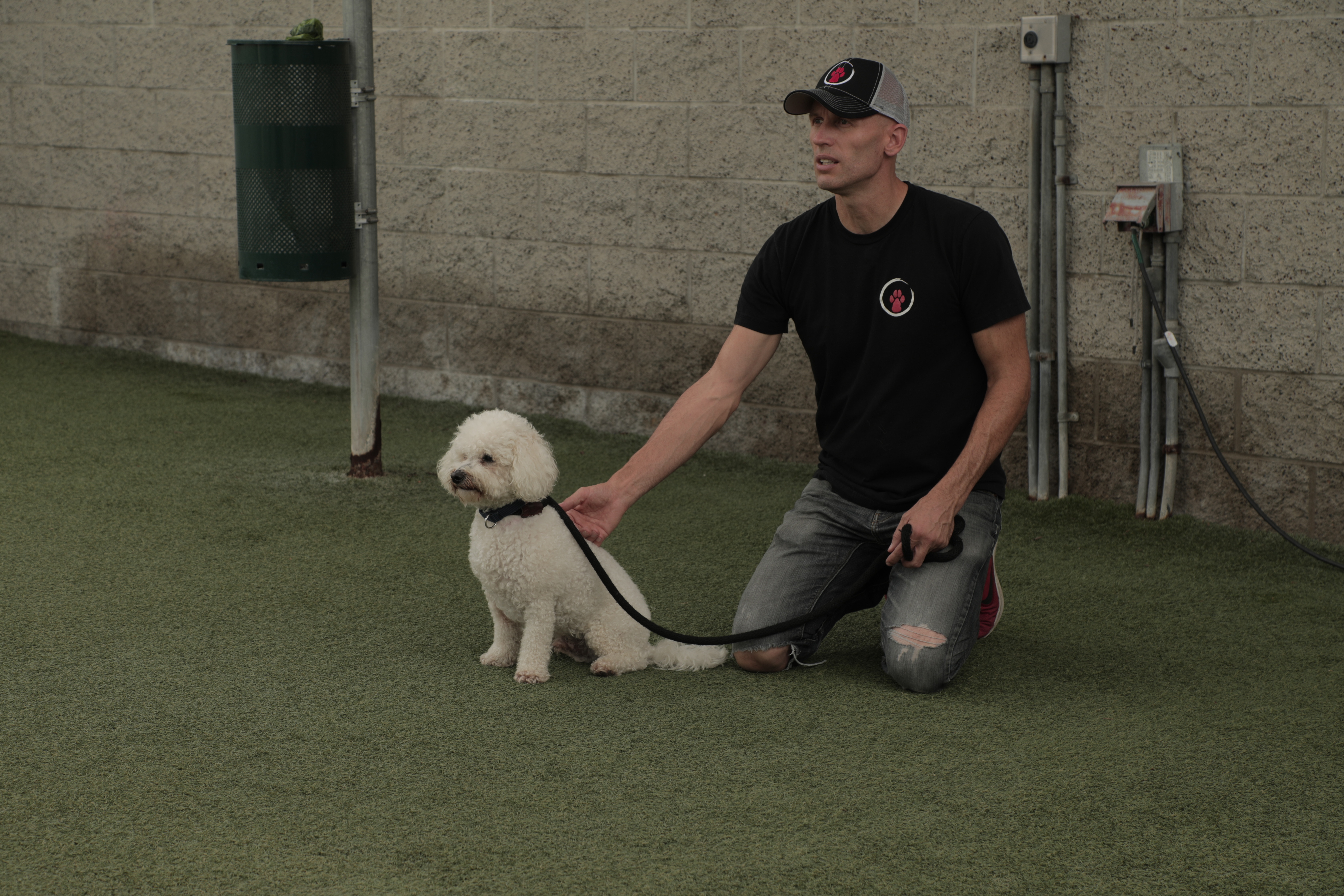 Dog Impossible - Quand Harry rencontre Sari 2.jpg