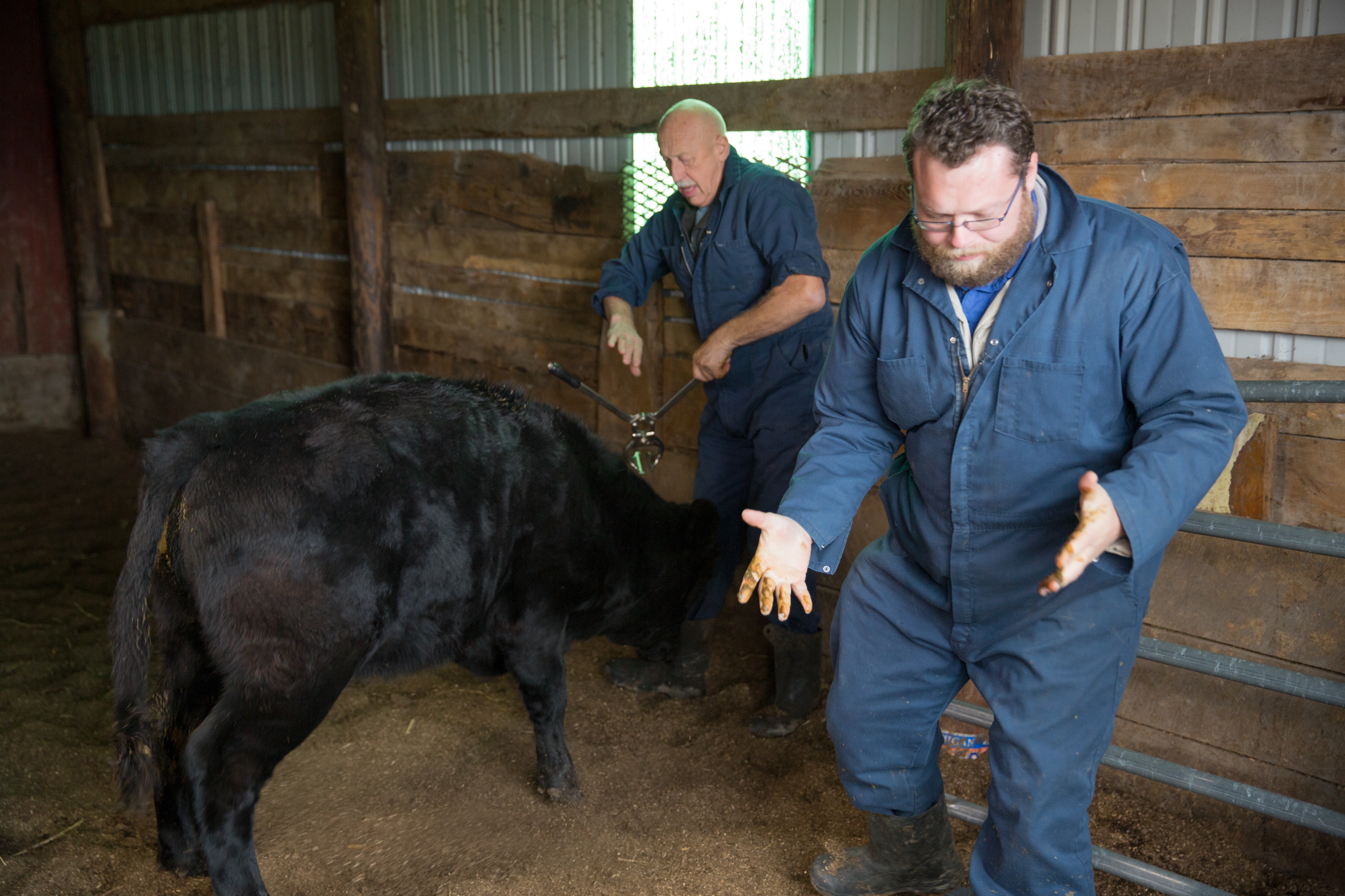 L'incroyable Dr Pol - Le père Pol 4.jpg