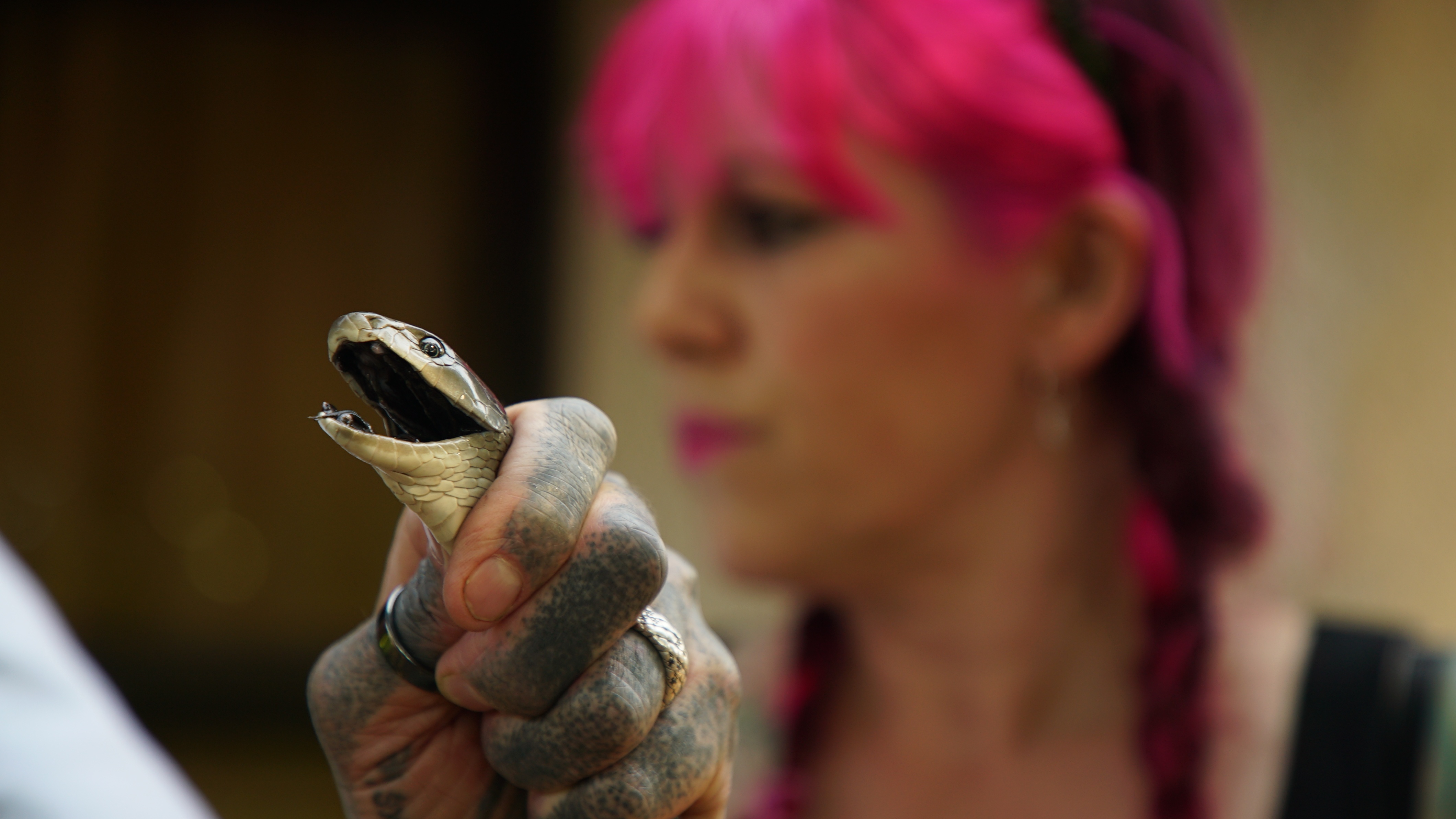 Snakes In The City 1.jpg