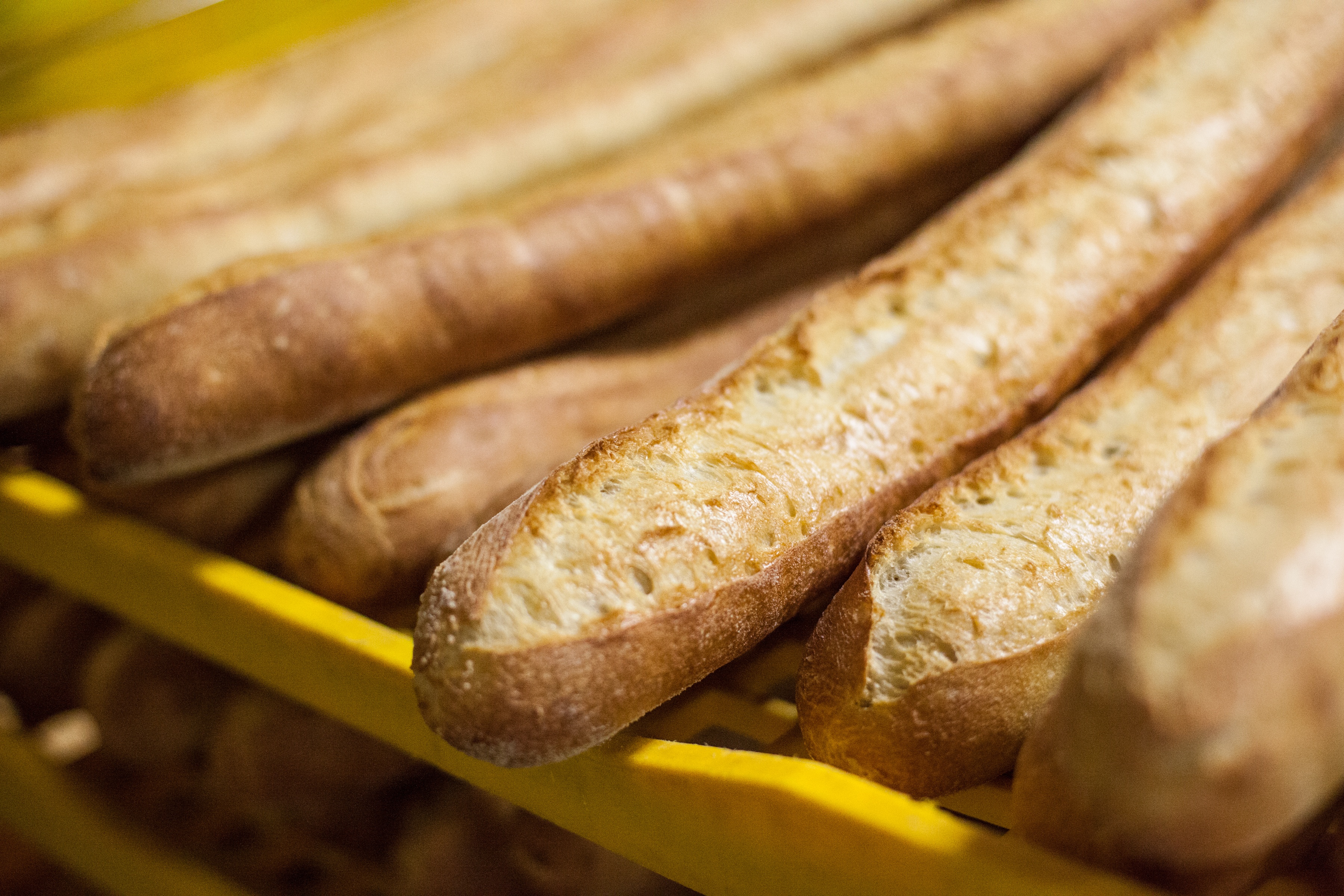 Food Factory - Bûche à croquer 1.jpg