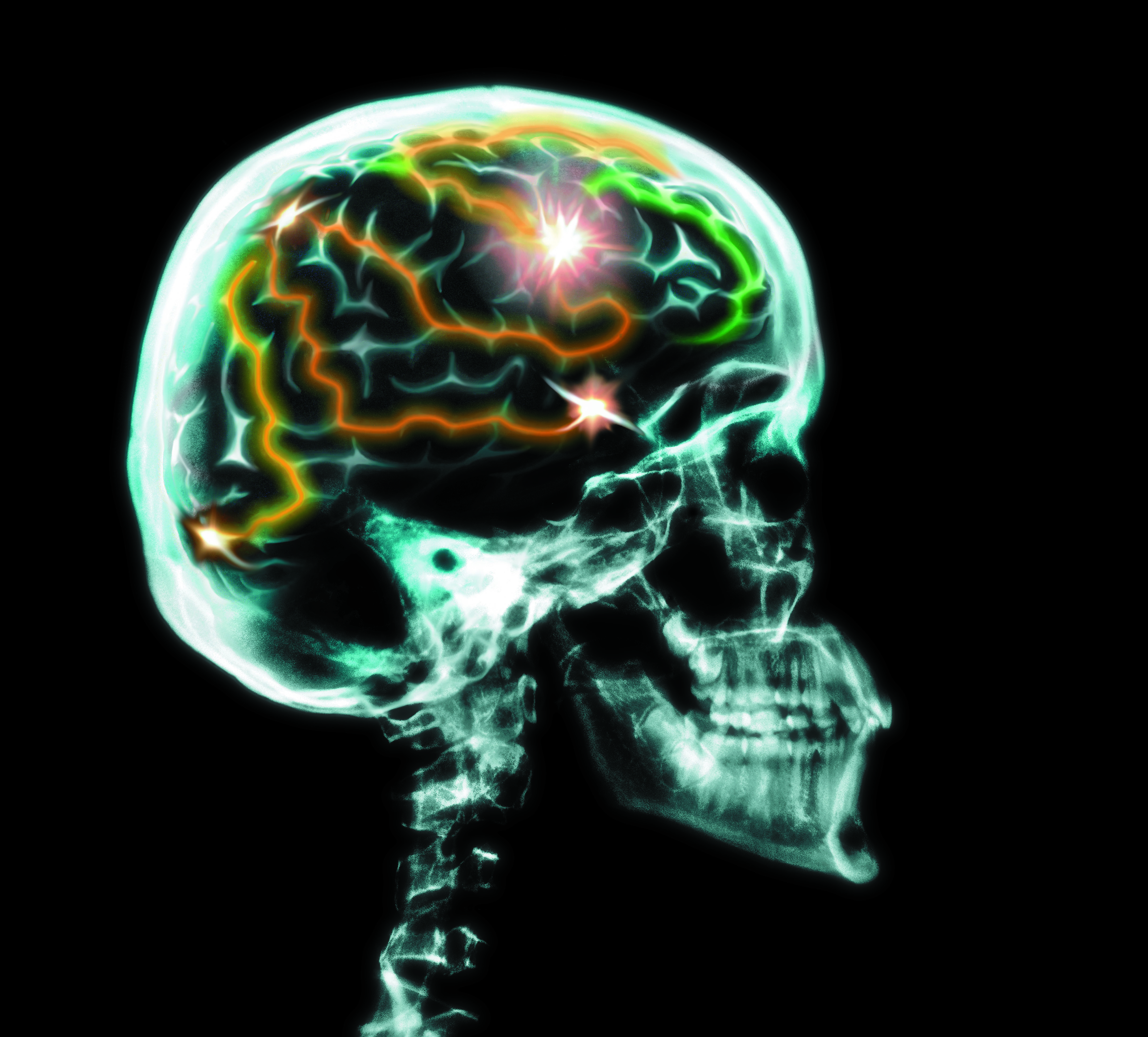 Brain Games (2).JPG