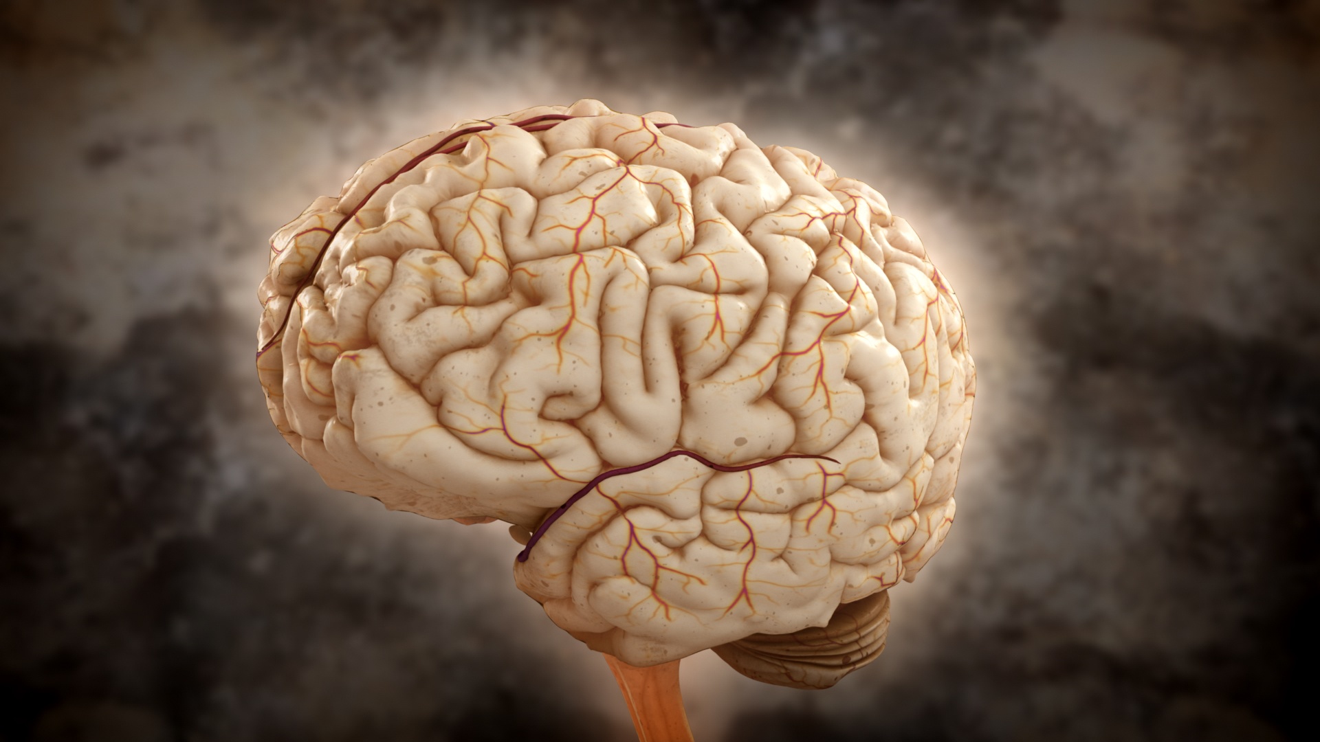 Brain Games (3).jpg
