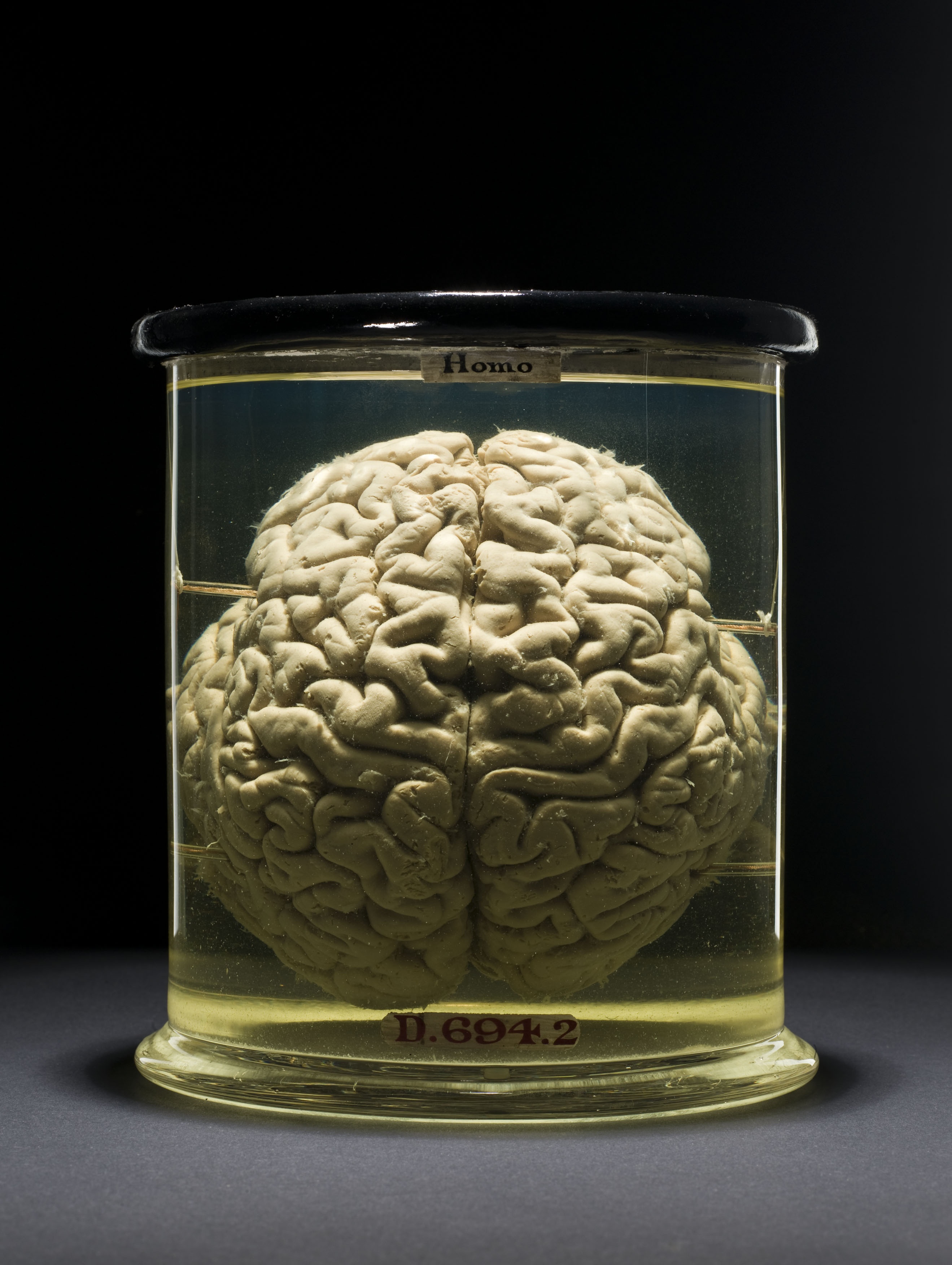 Brain Games (1).JPG