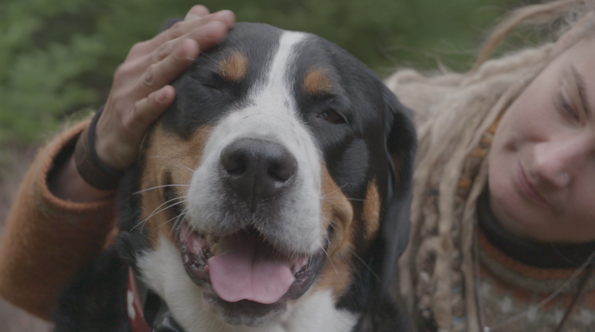 A l'épreuve de la nature (1).png