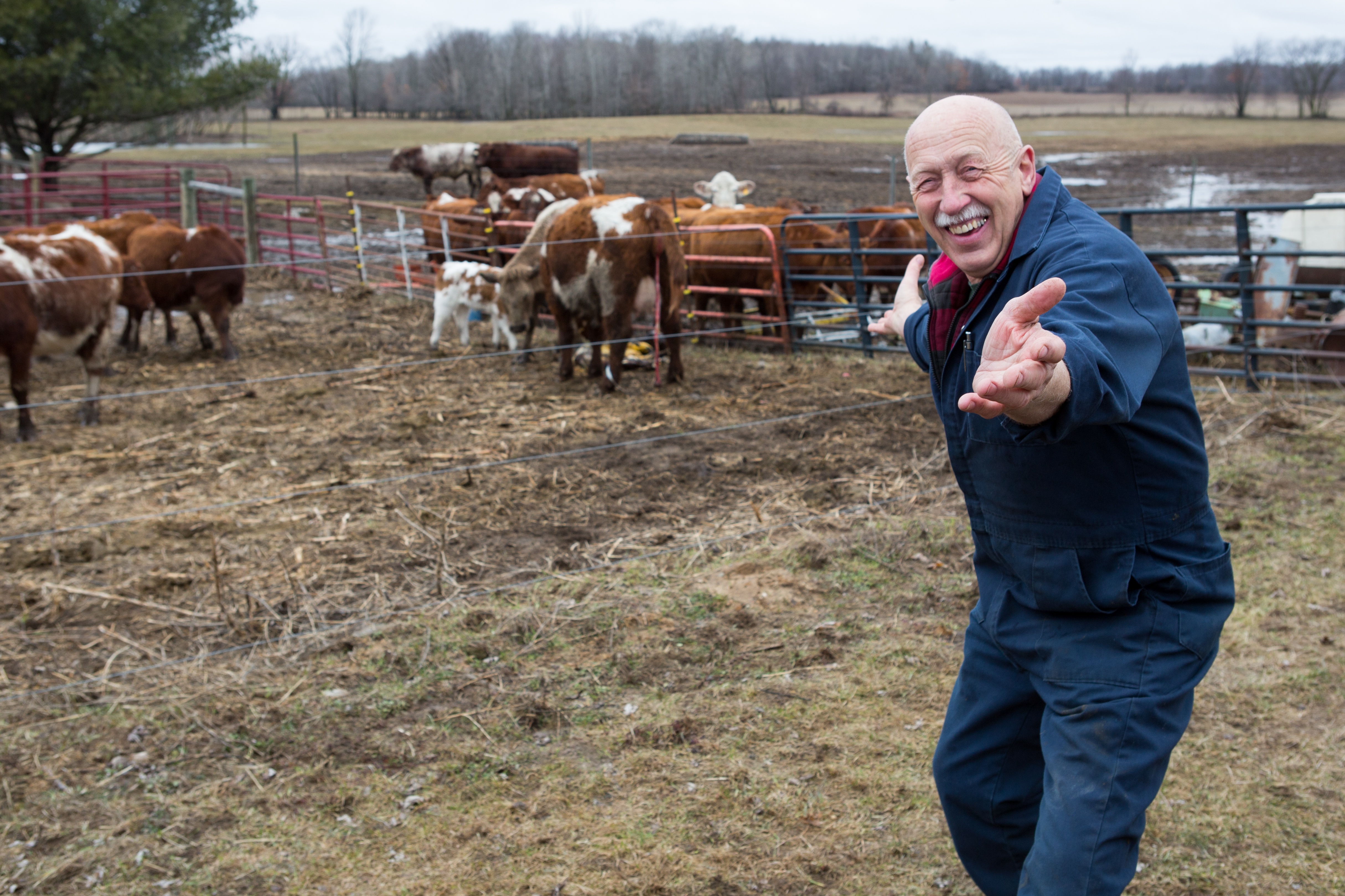 L'incroyable Dr Pol (2).JPG