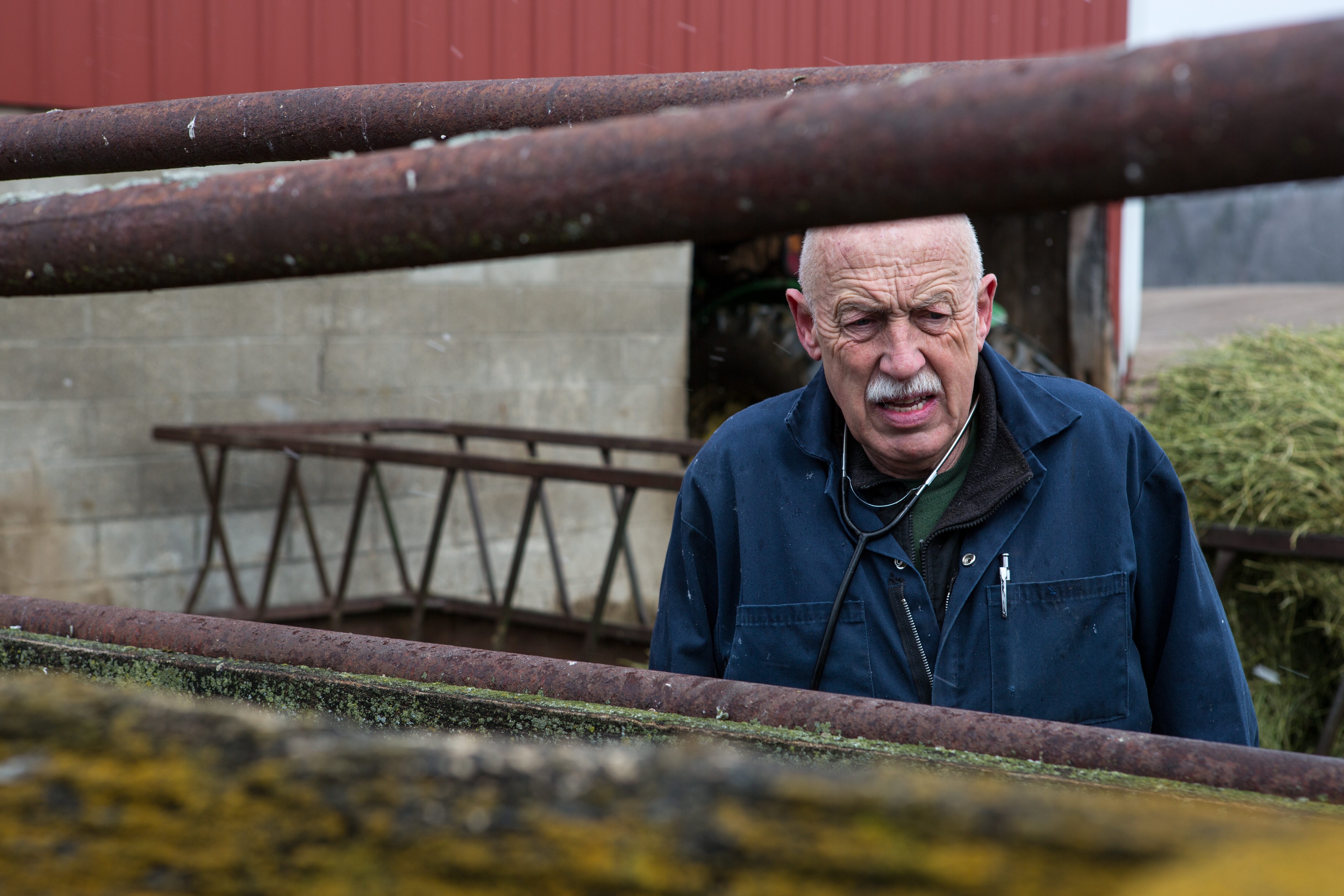 L'incroyable Dr Pol (3).JPG
