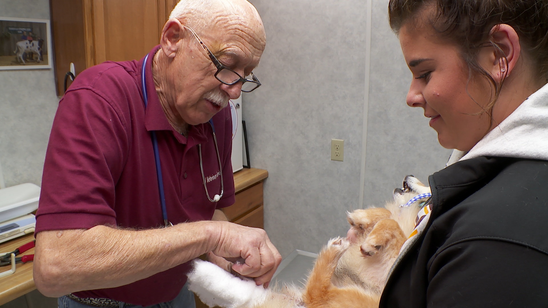 L'incroyable Dr Pol (5).JPG