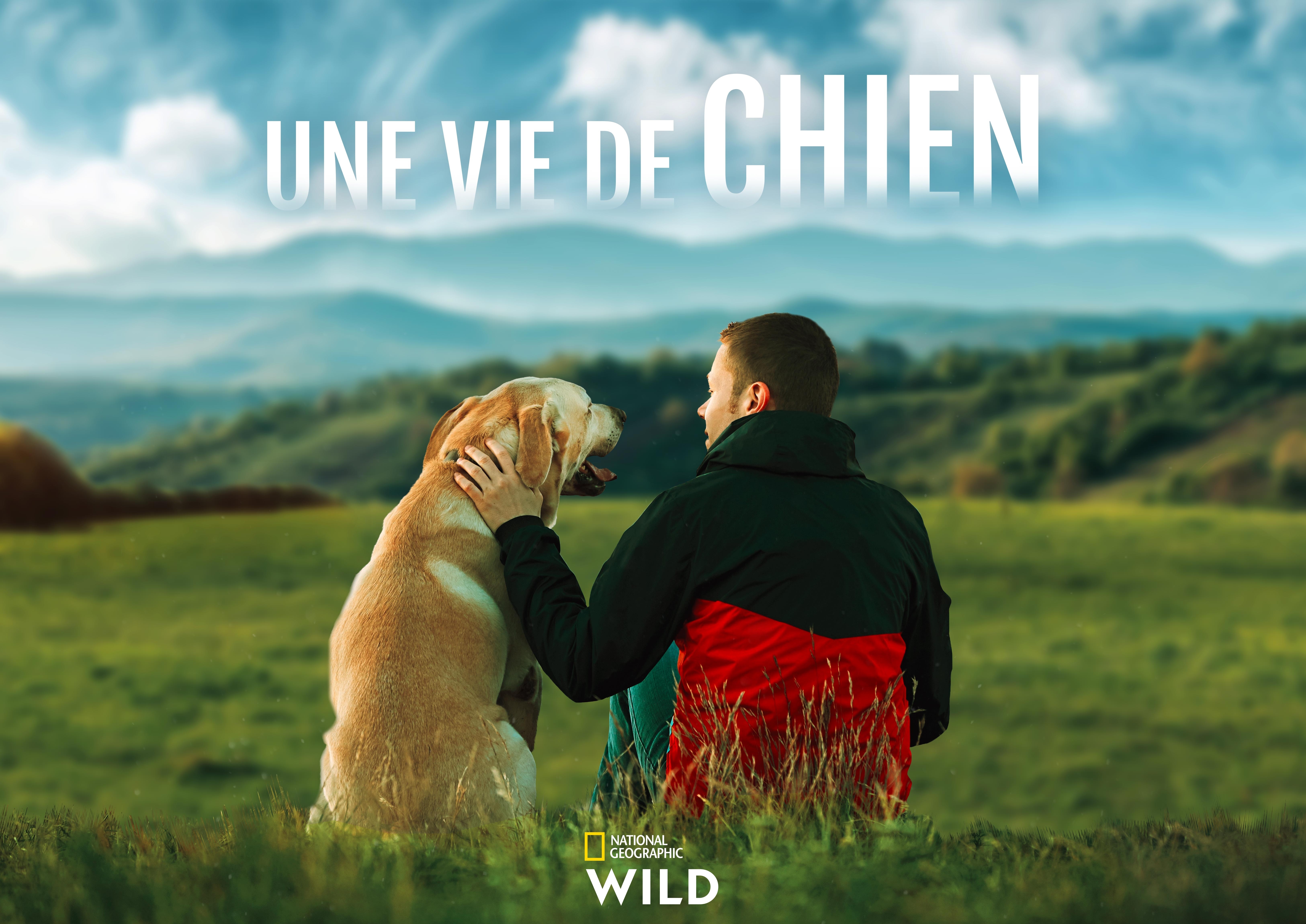 Une vie de chien (1).jpg