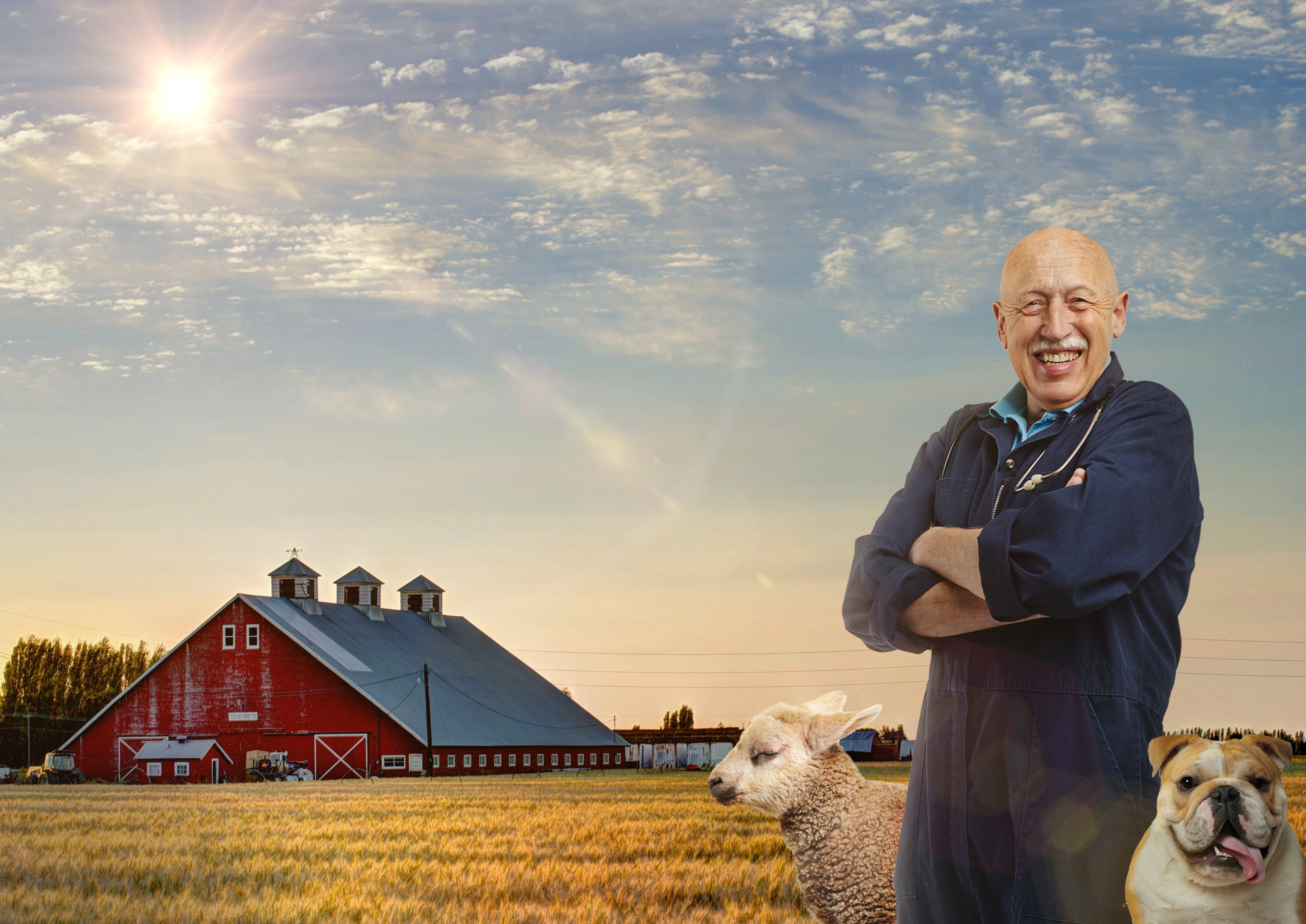 DR-POL_Key-Art_04_2020_3.jpg