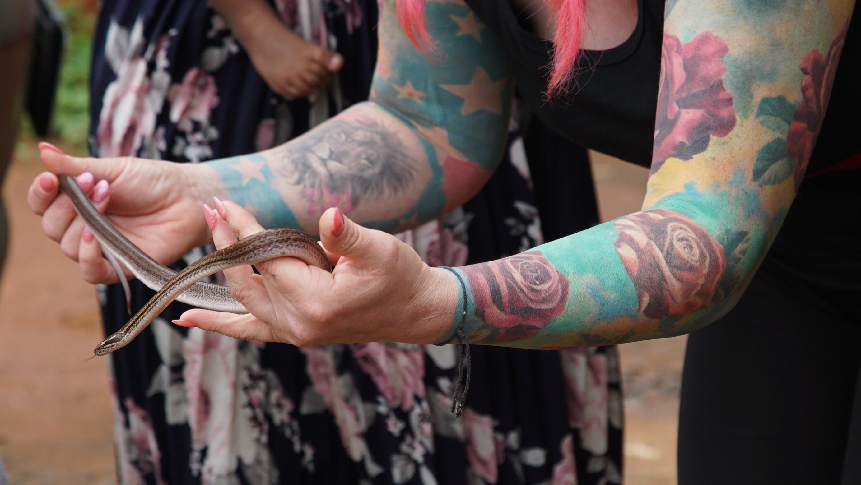 Snakes in the city (2).jpg