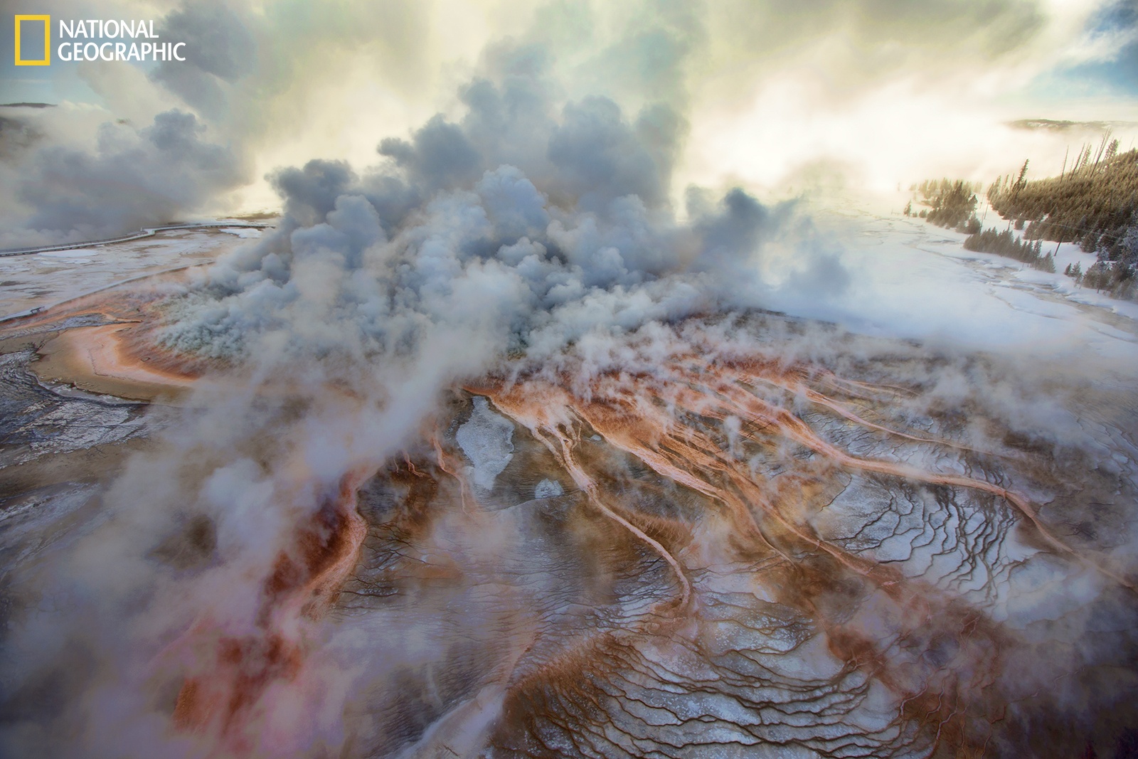 04_NationalGeographic_2384771_Michael-Nichols_branded.jpg