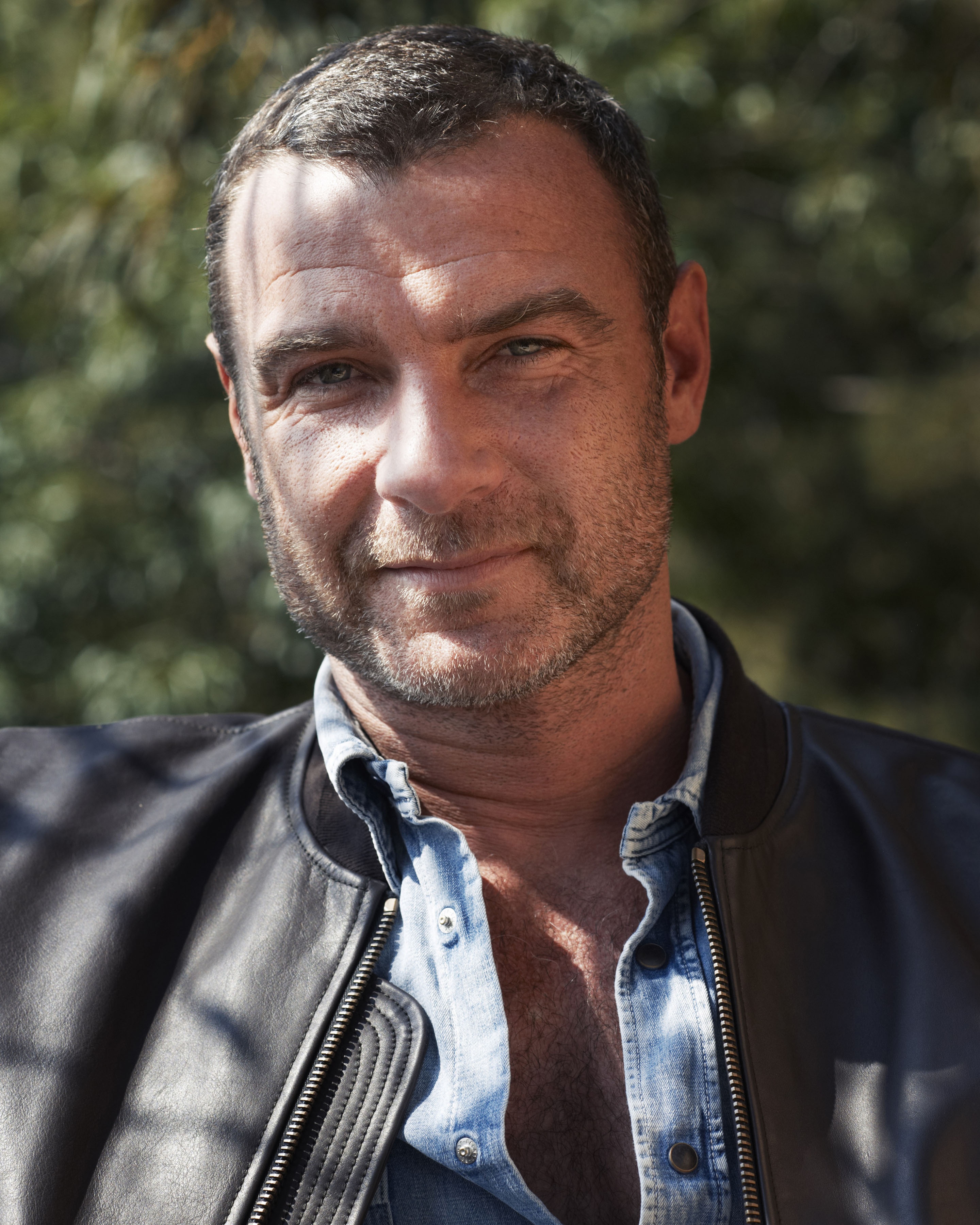 LievSchreiber_ASmallLight.jpg