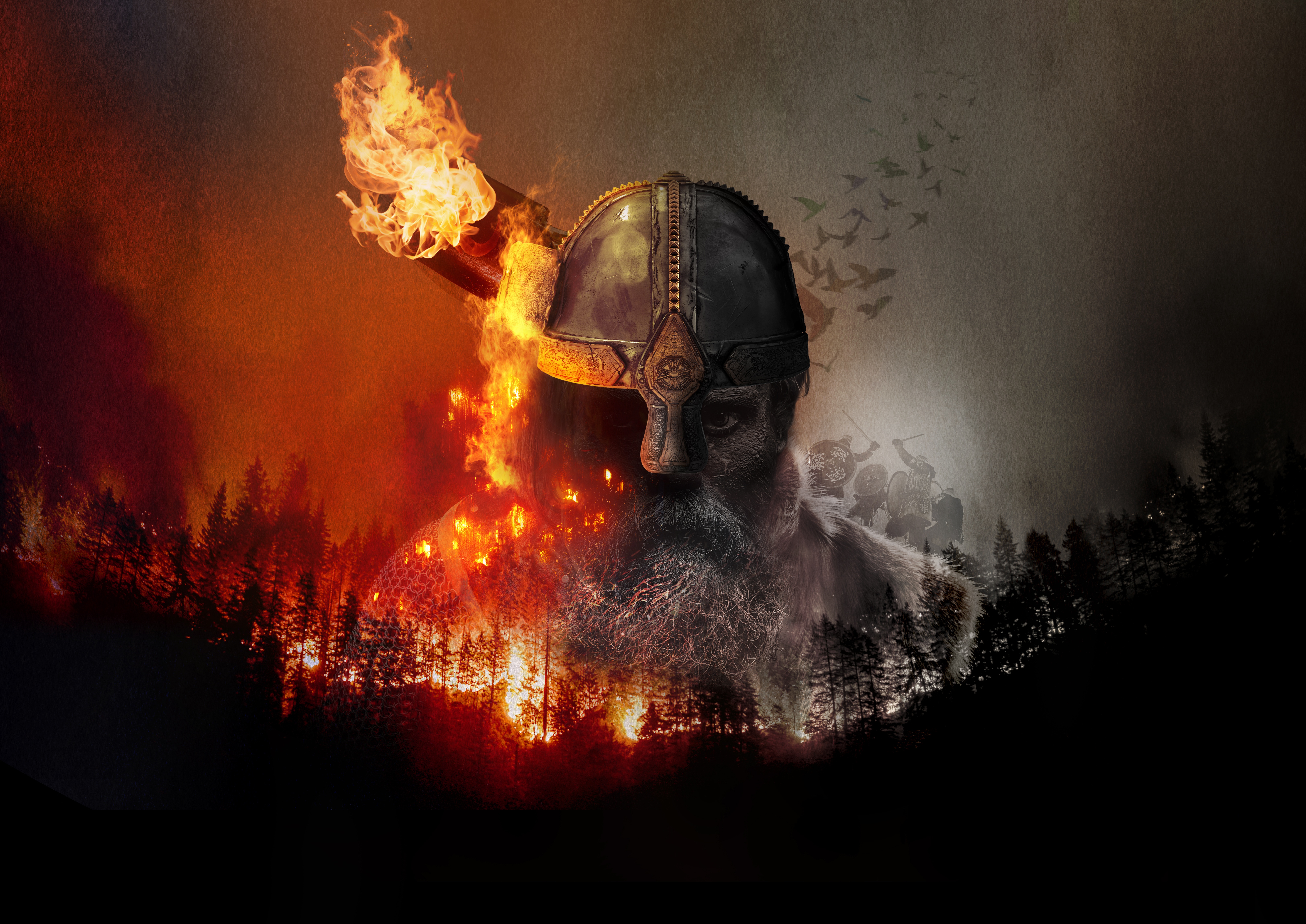 Vikings gloire & déclin.jpg