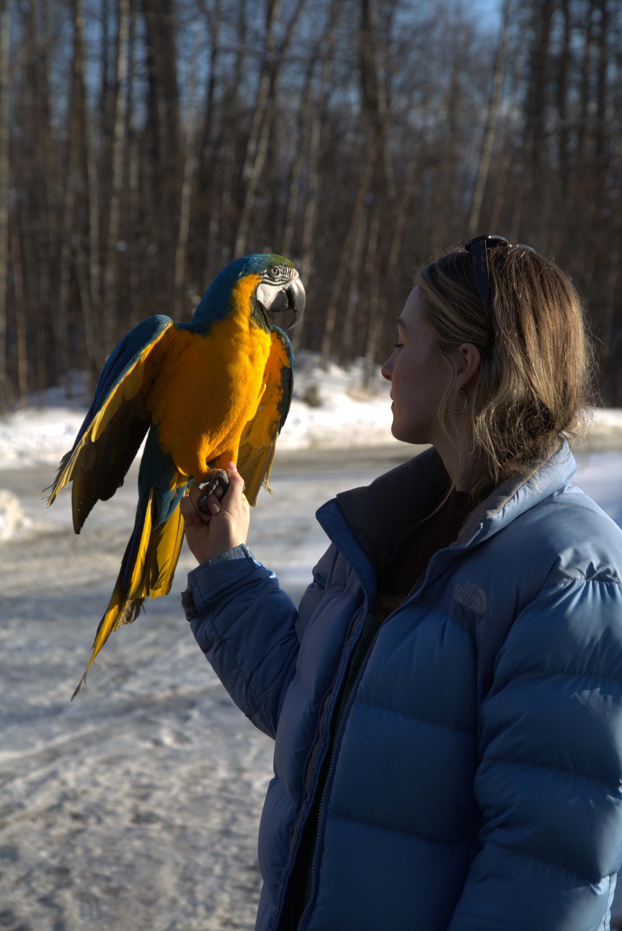 Michelle ou la vie sauvage (9).jpg
