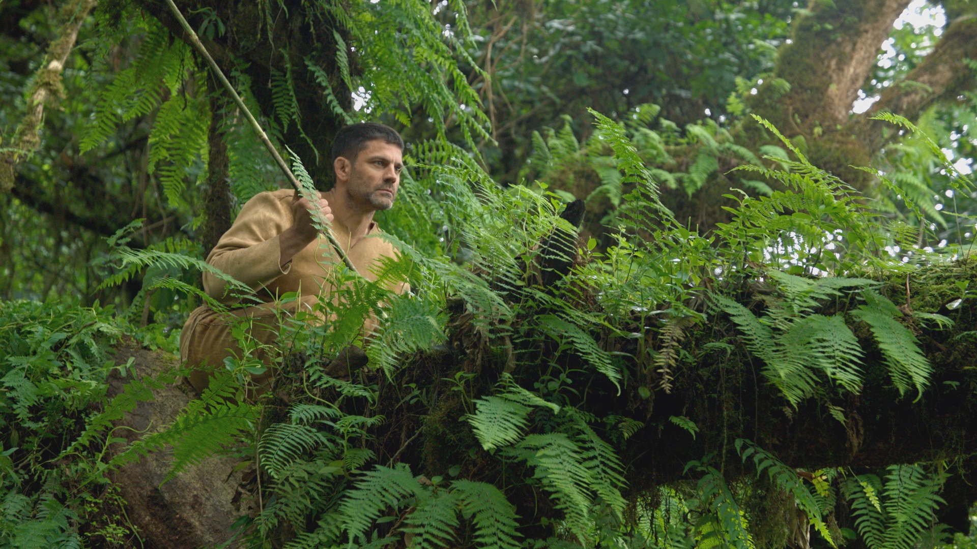 La course de l'évolution (2).jpg