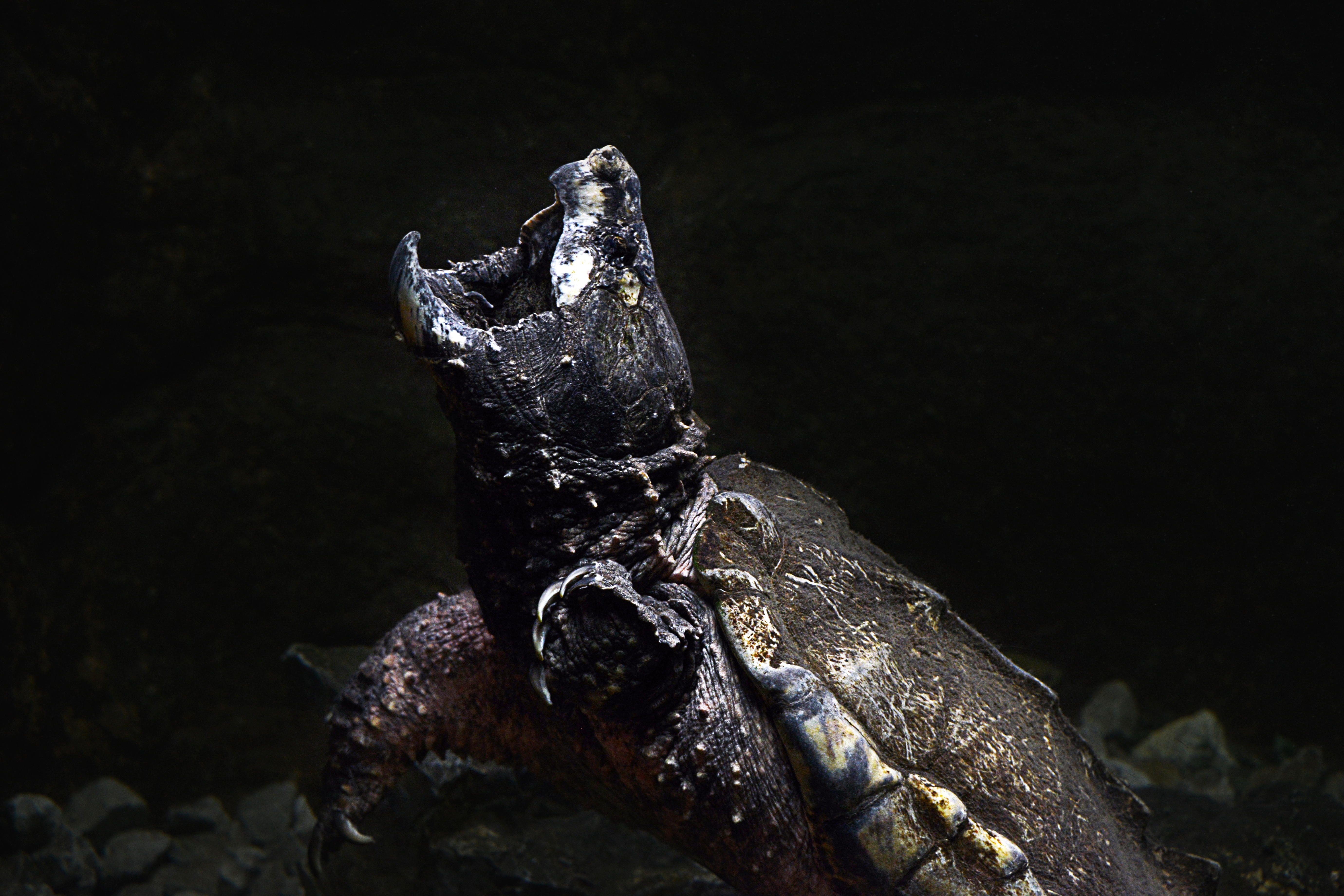 Un monde mortel (3).jpg