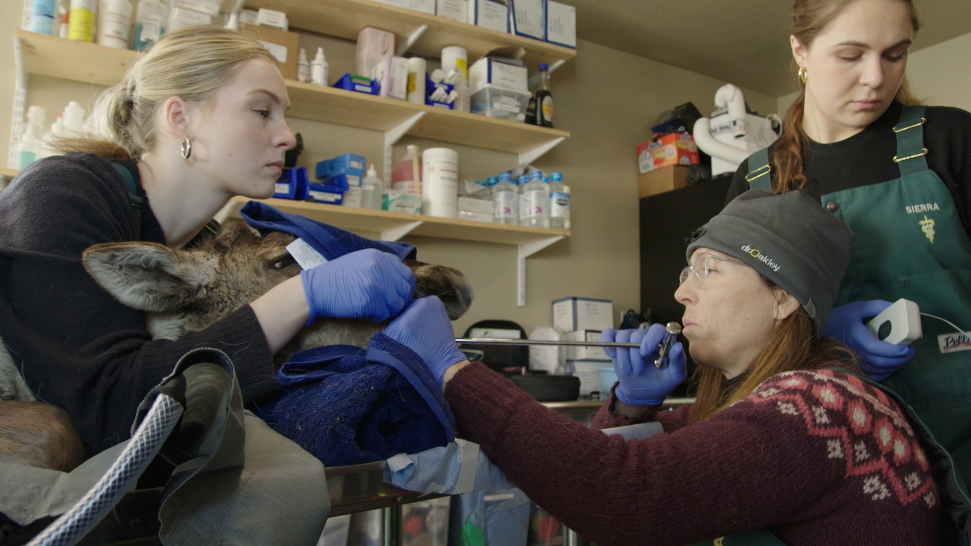 Michelle ou la vie sauvage (2).jpg