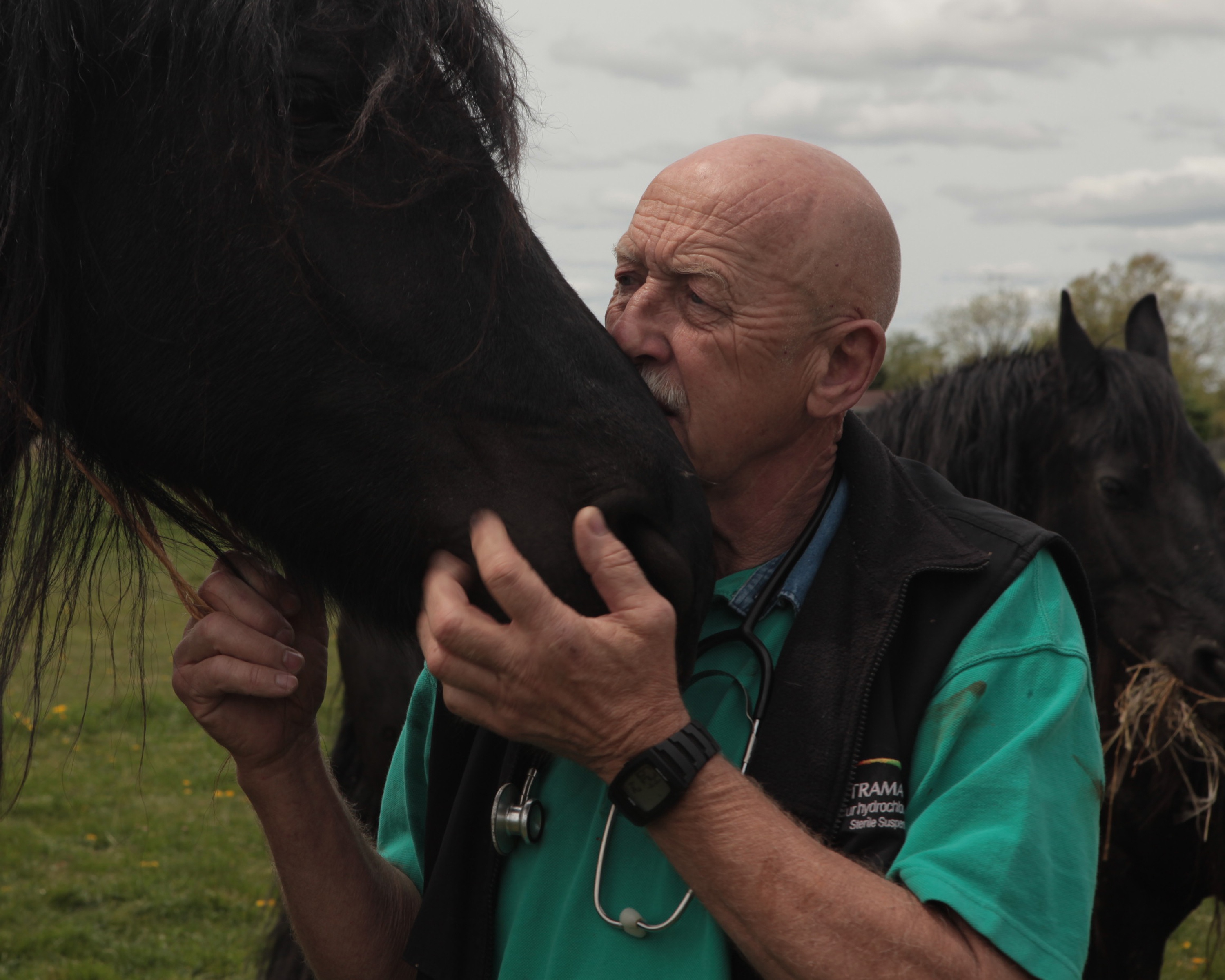 Dr Pol (5).JPG