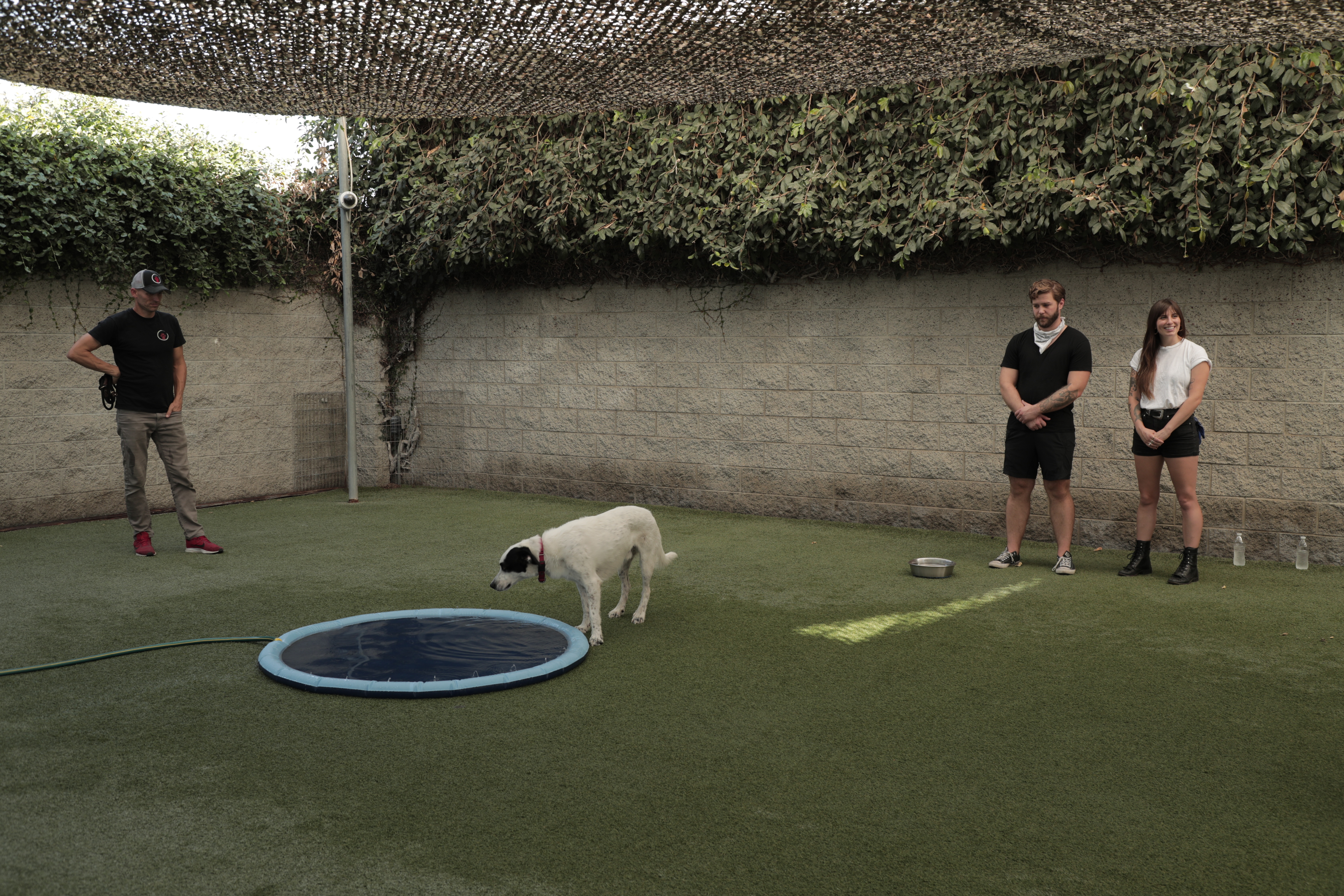 Dog impossible (3).jpg