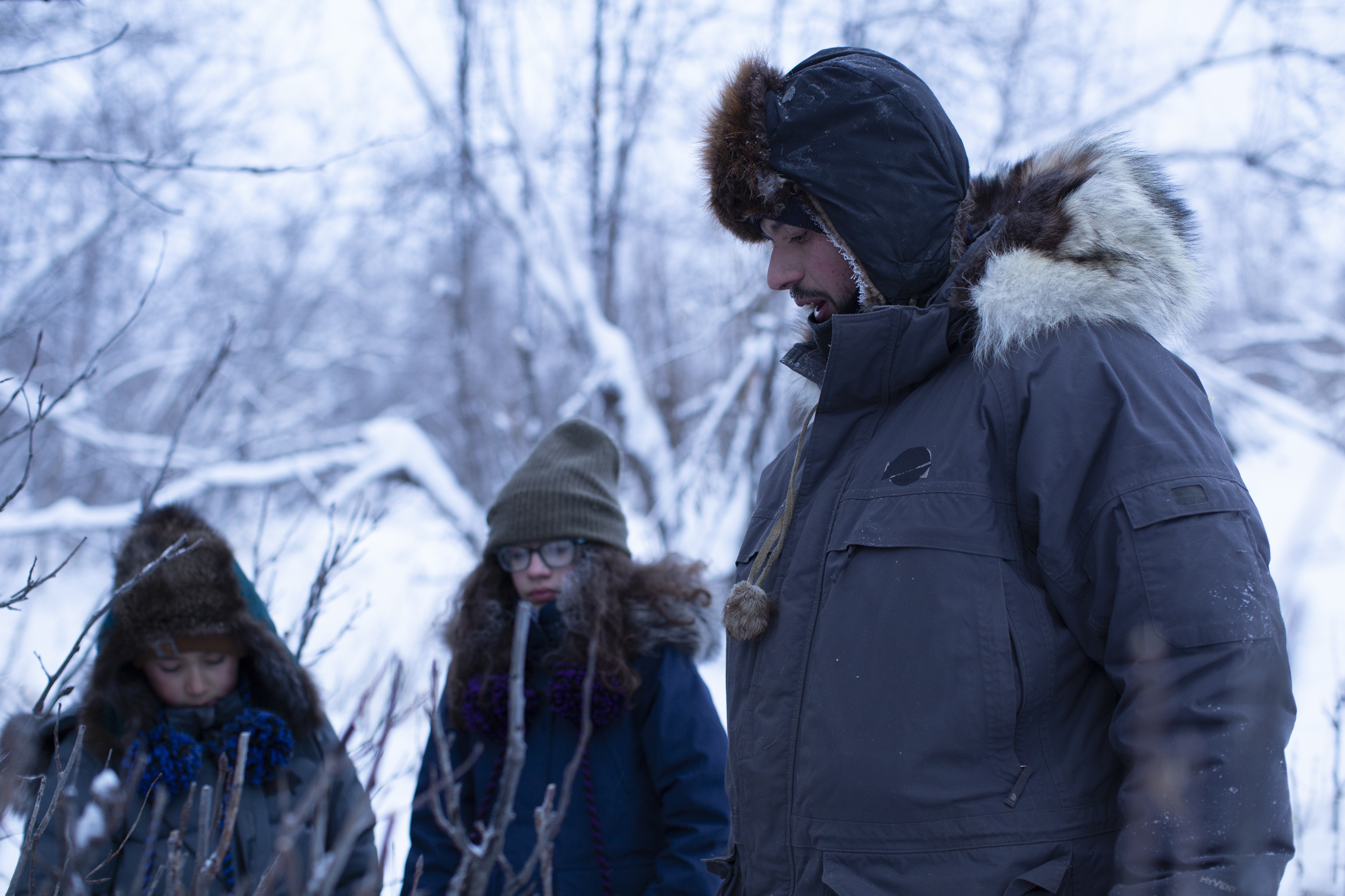 Alaska Nature's Bargain.jpg