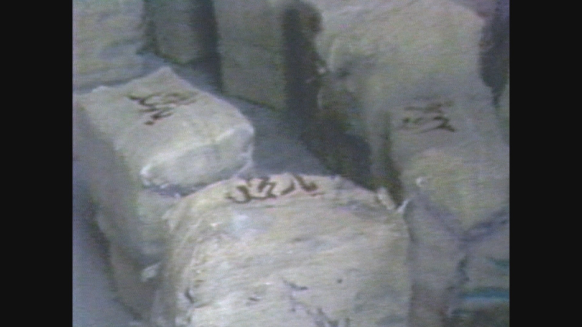 NarcoWars Chasing the Dragon The Mob and the Mujahideen.jpg