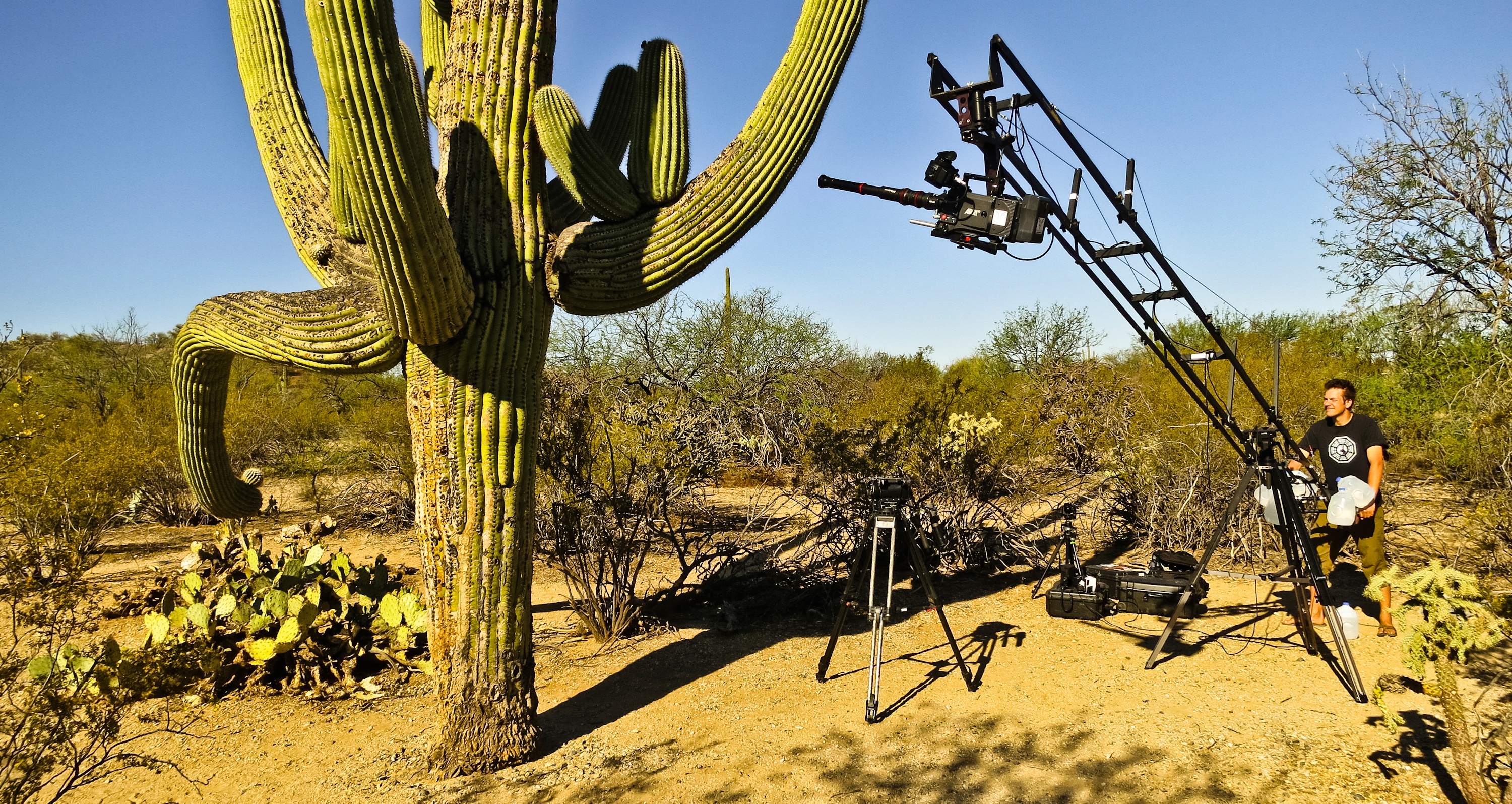 America's National Park Saguaro (3).JPG