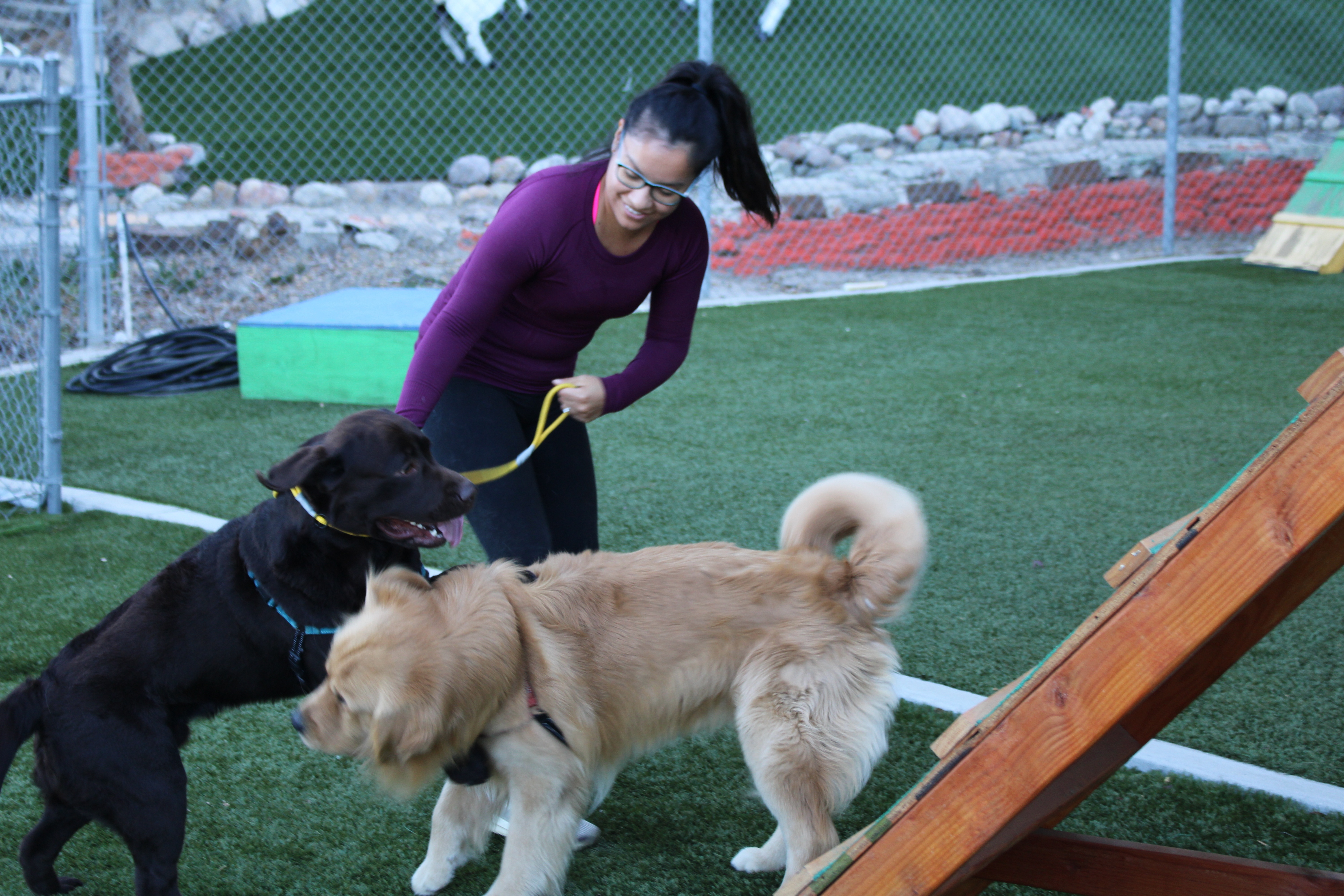 Cesar Millan Dog Therapy (3).jpg