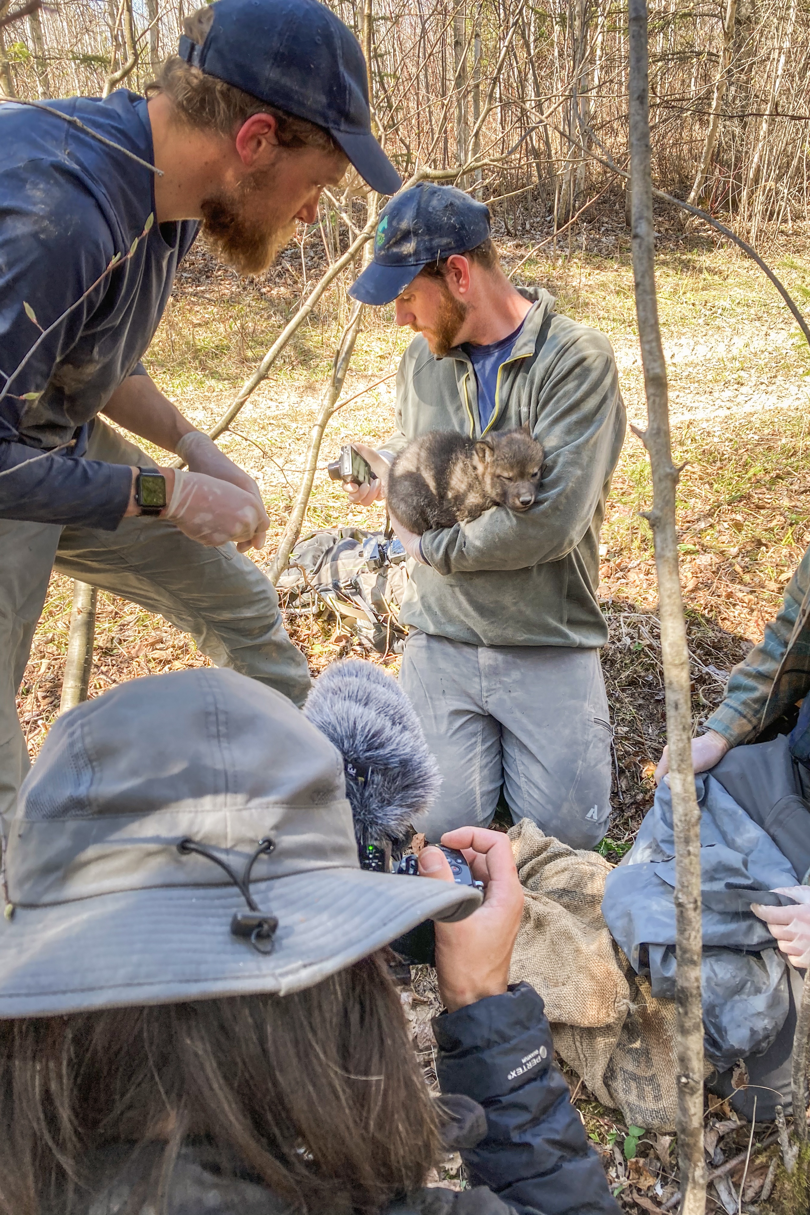 America'sNationalPark Everglades (2).jpg