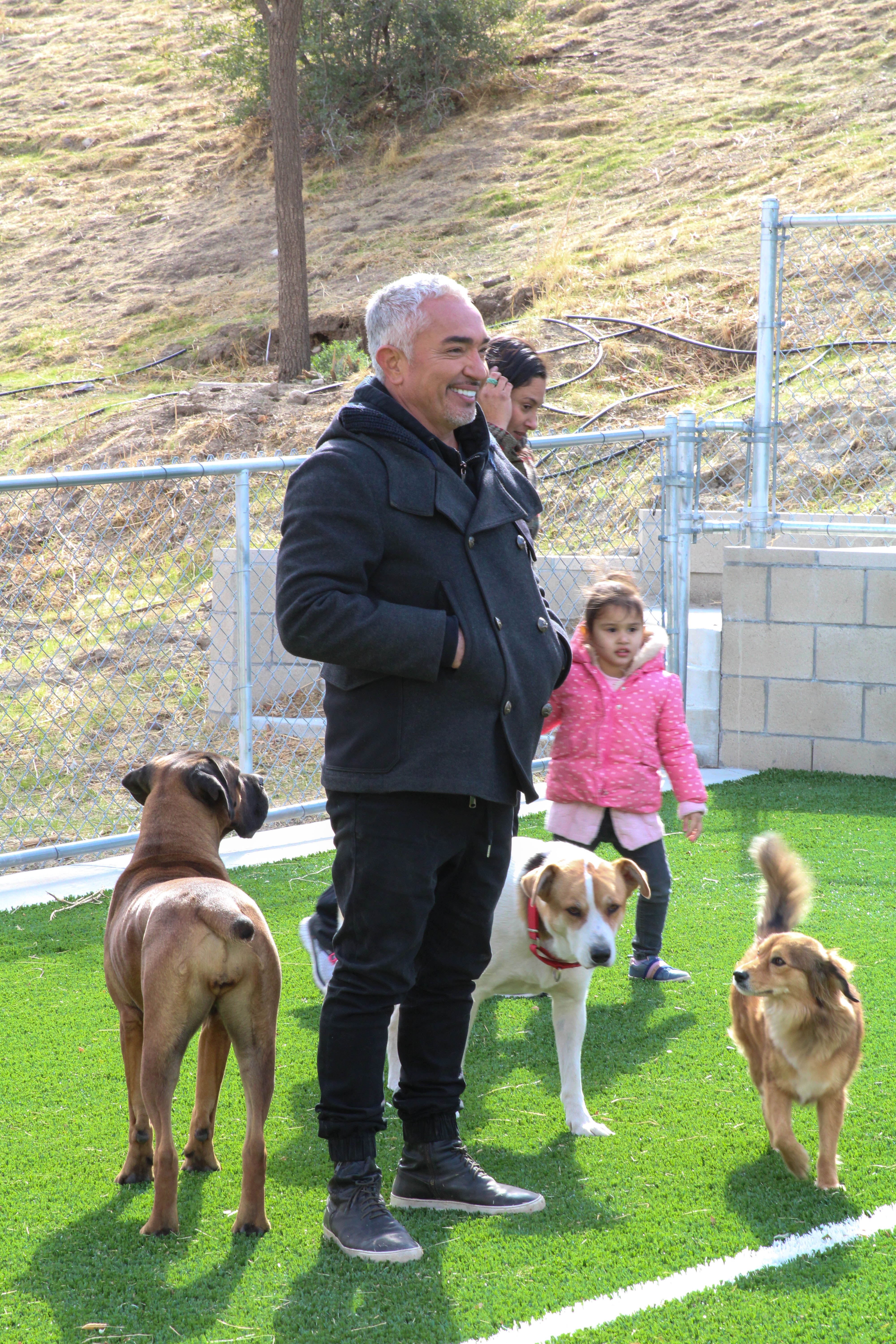 Cesar Millan S2 (1).jpg