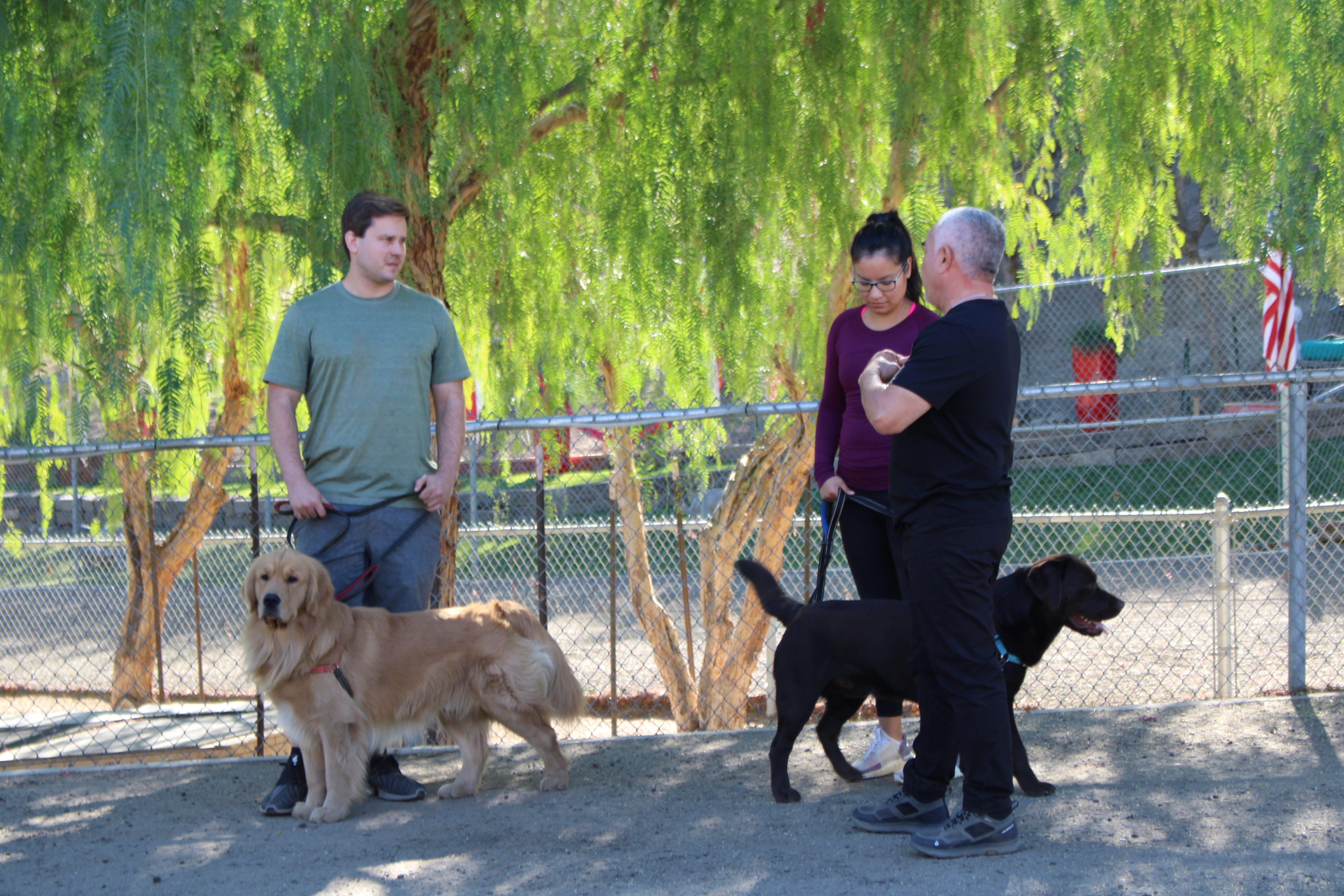 Cesar Millan S2 (3).jpg