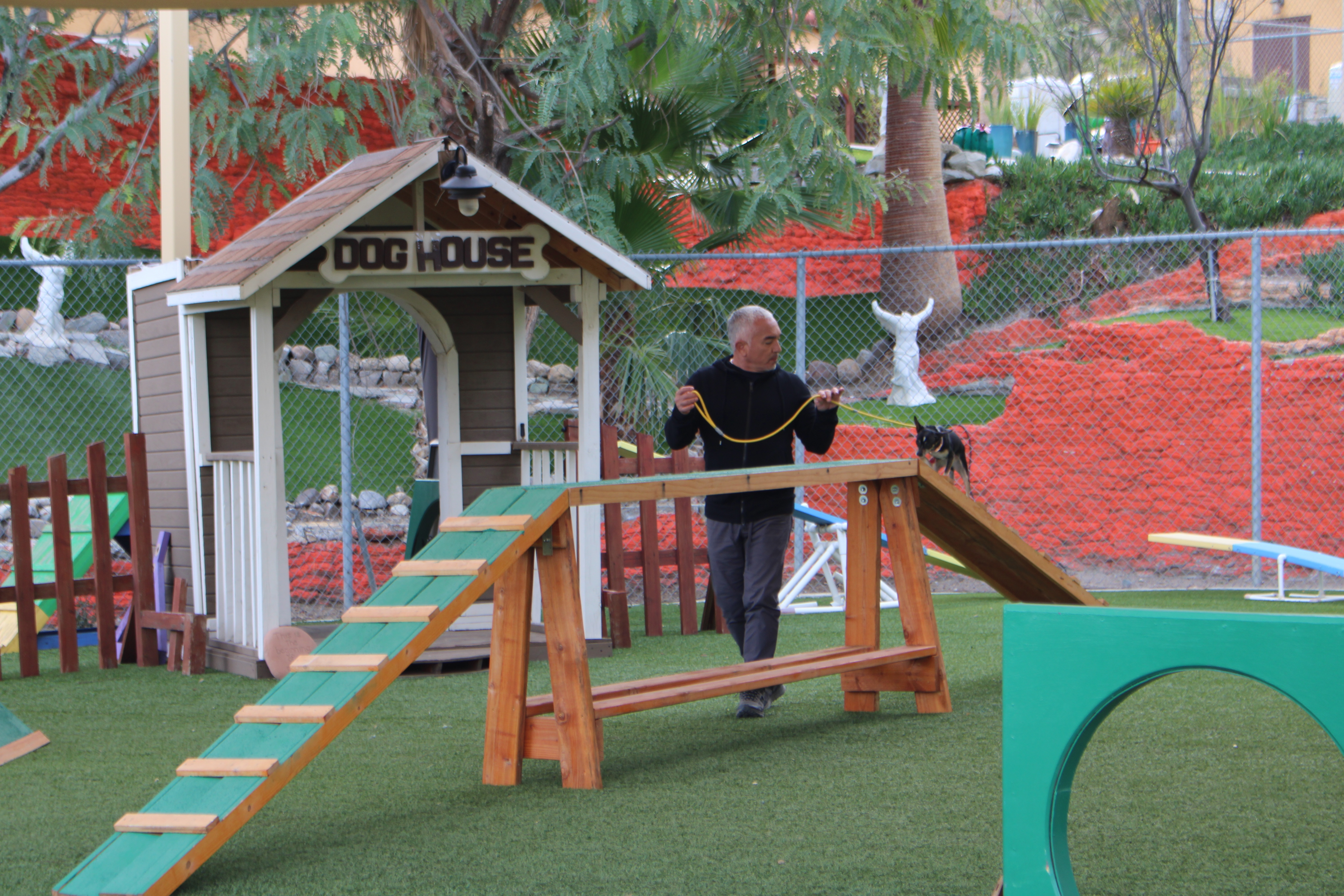 Cesar Millan Frozen In Fear (3).jpg