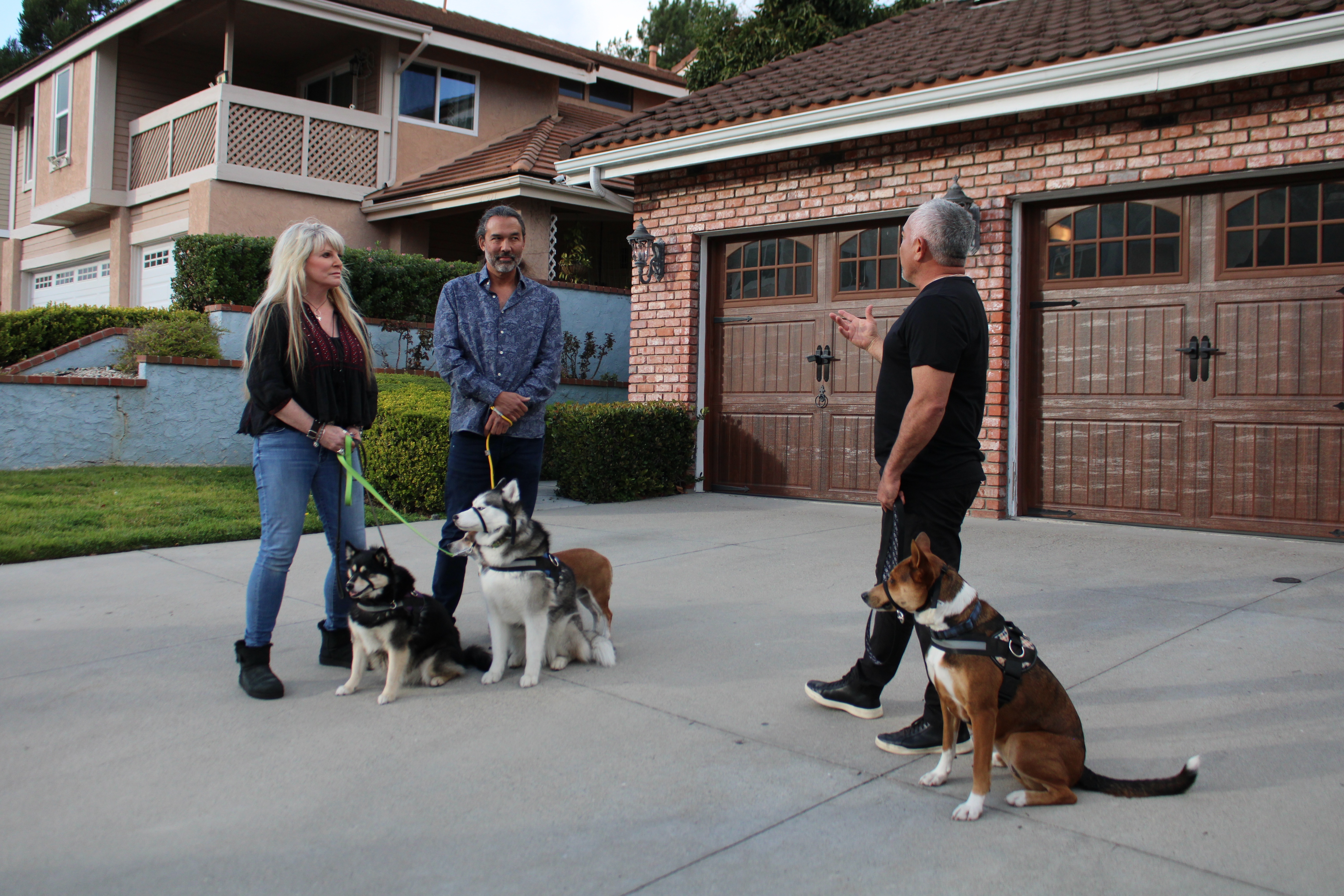 Cesar Millan  Tel maître, tel chien -  Les crocs de l’apocalypse (1).jpg