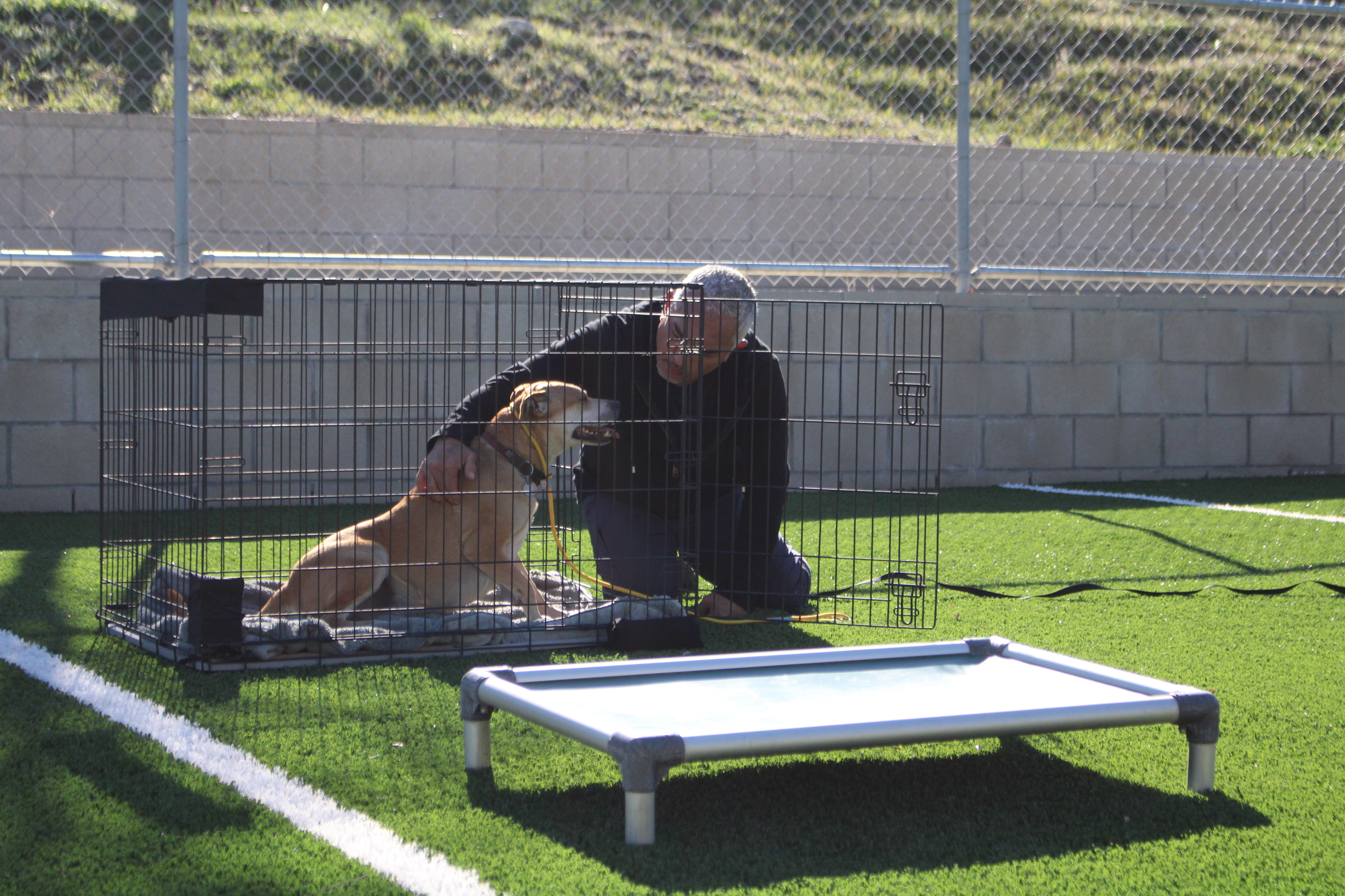 Cesar Millan  Tel maître, tel chien - Terreur à quatre pattes (2).jpg