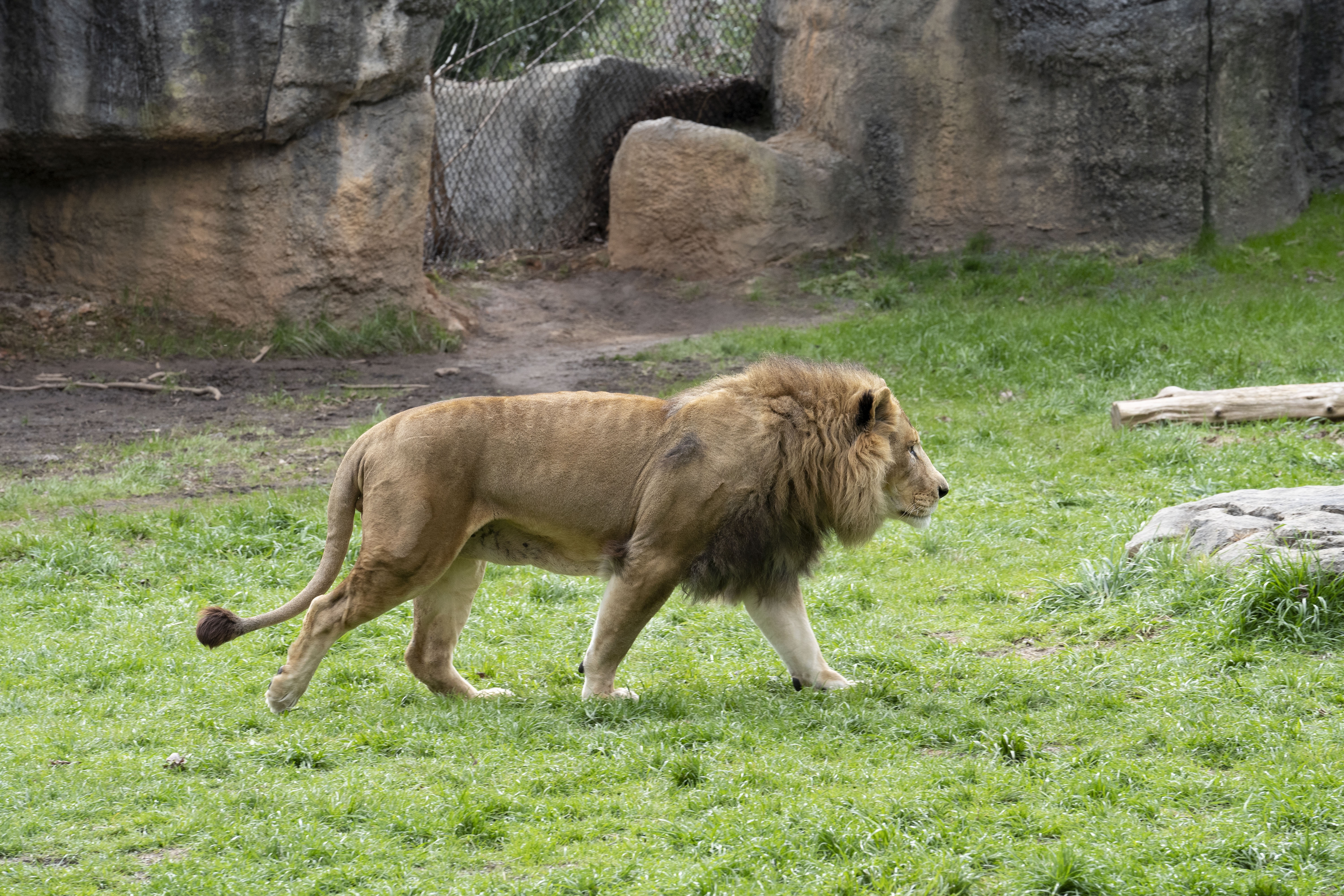 Une Saison au Zoo Episode 1 (1).jpg