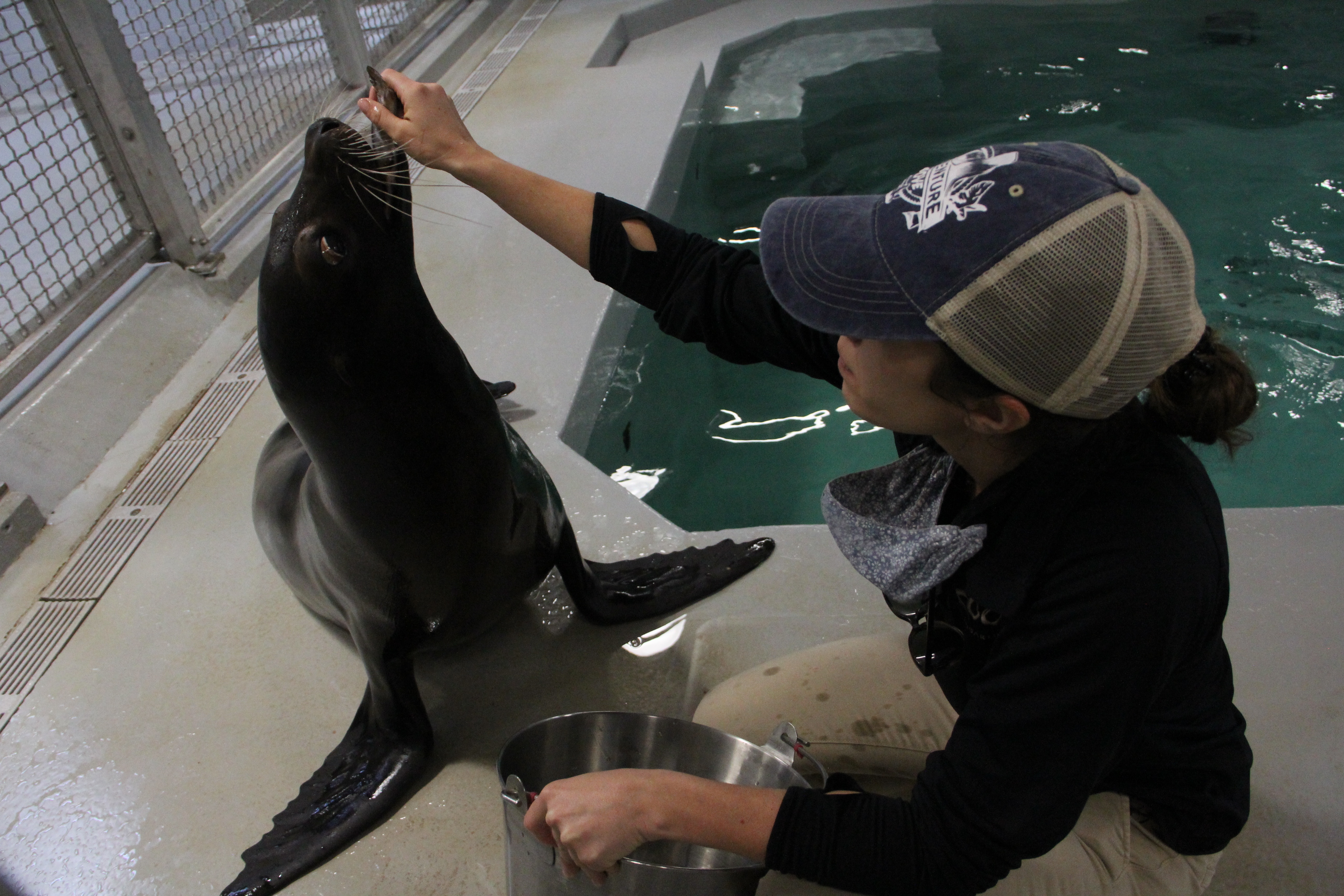 Une Saison au Zoo Episode 11 (2).jpg