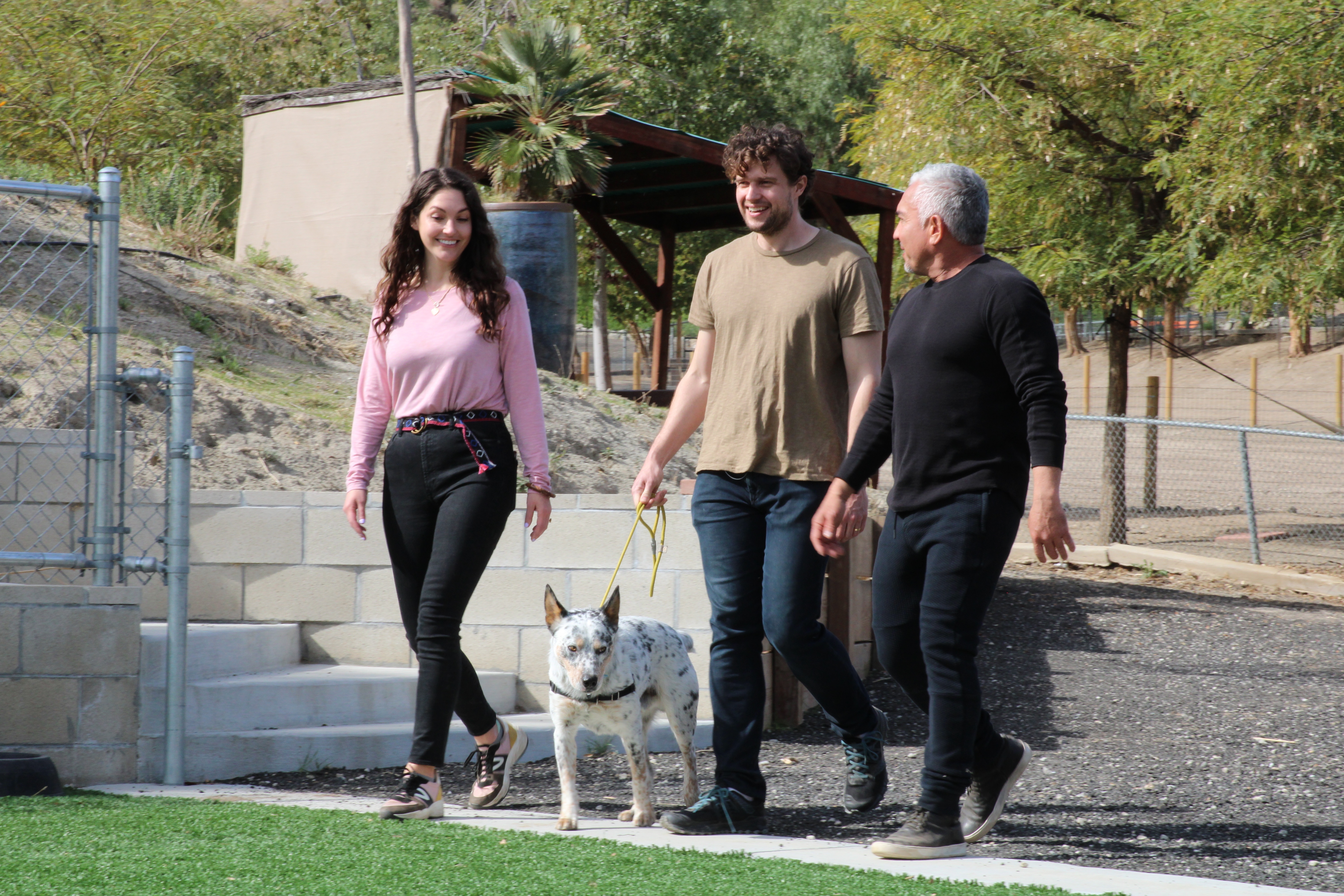 Cesar Millan  Tel maître, tel chien - Meute en otage (3).jpg