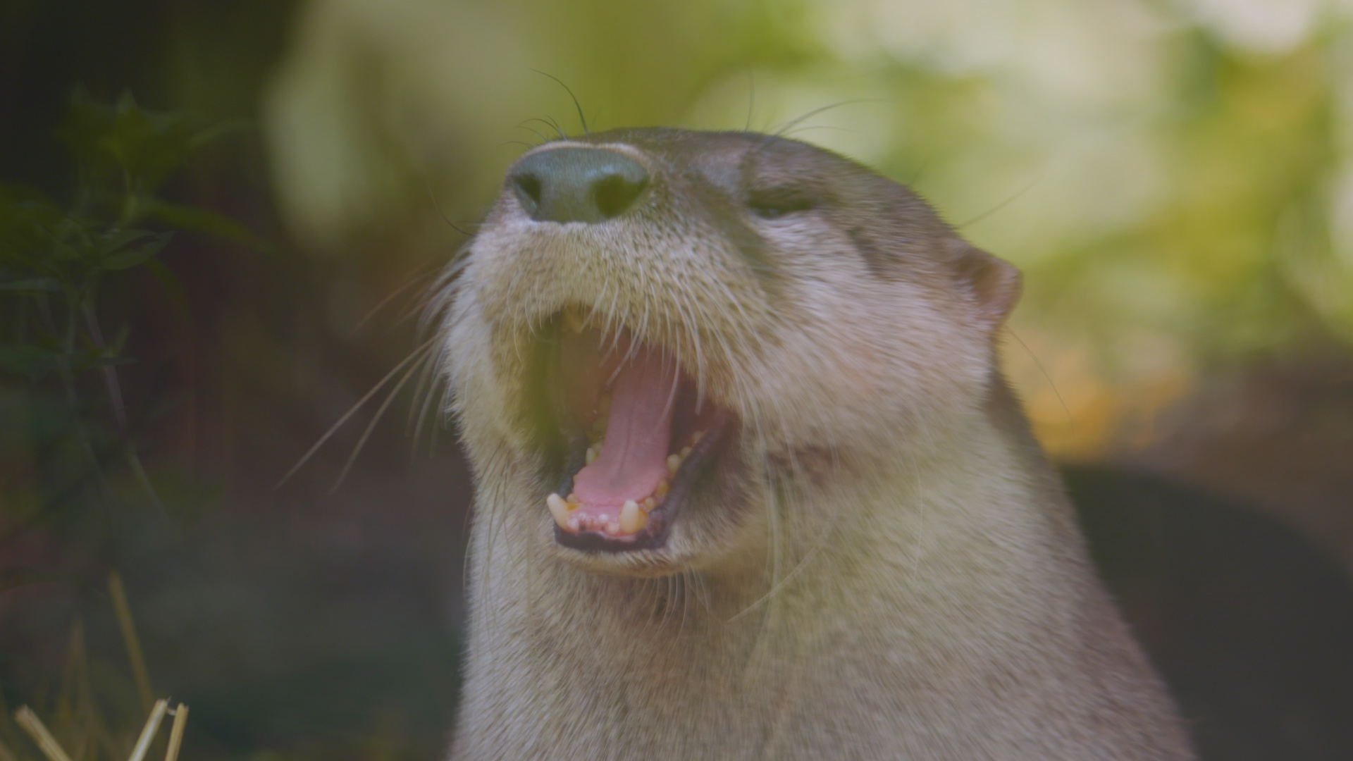 Une Saison au Zoo Episode 17 (3).jpg