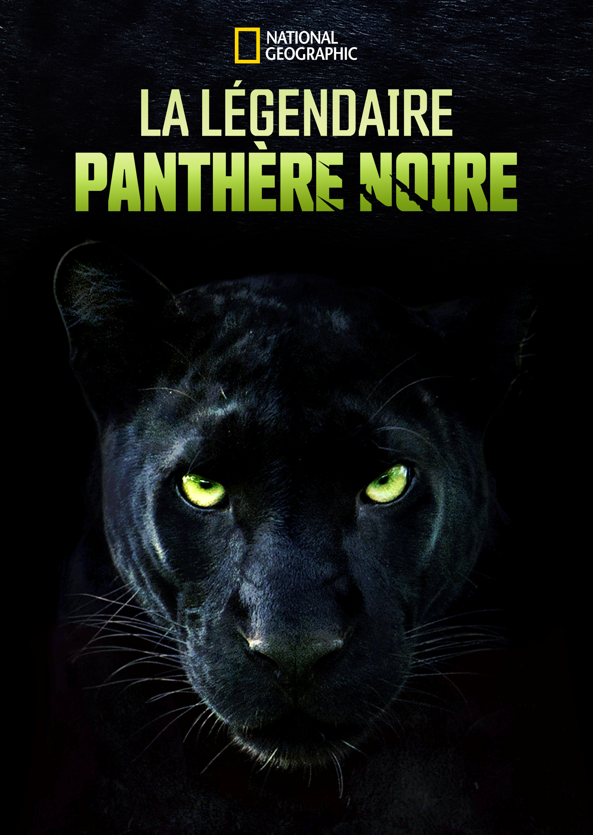 TheRealBlackPanther.png