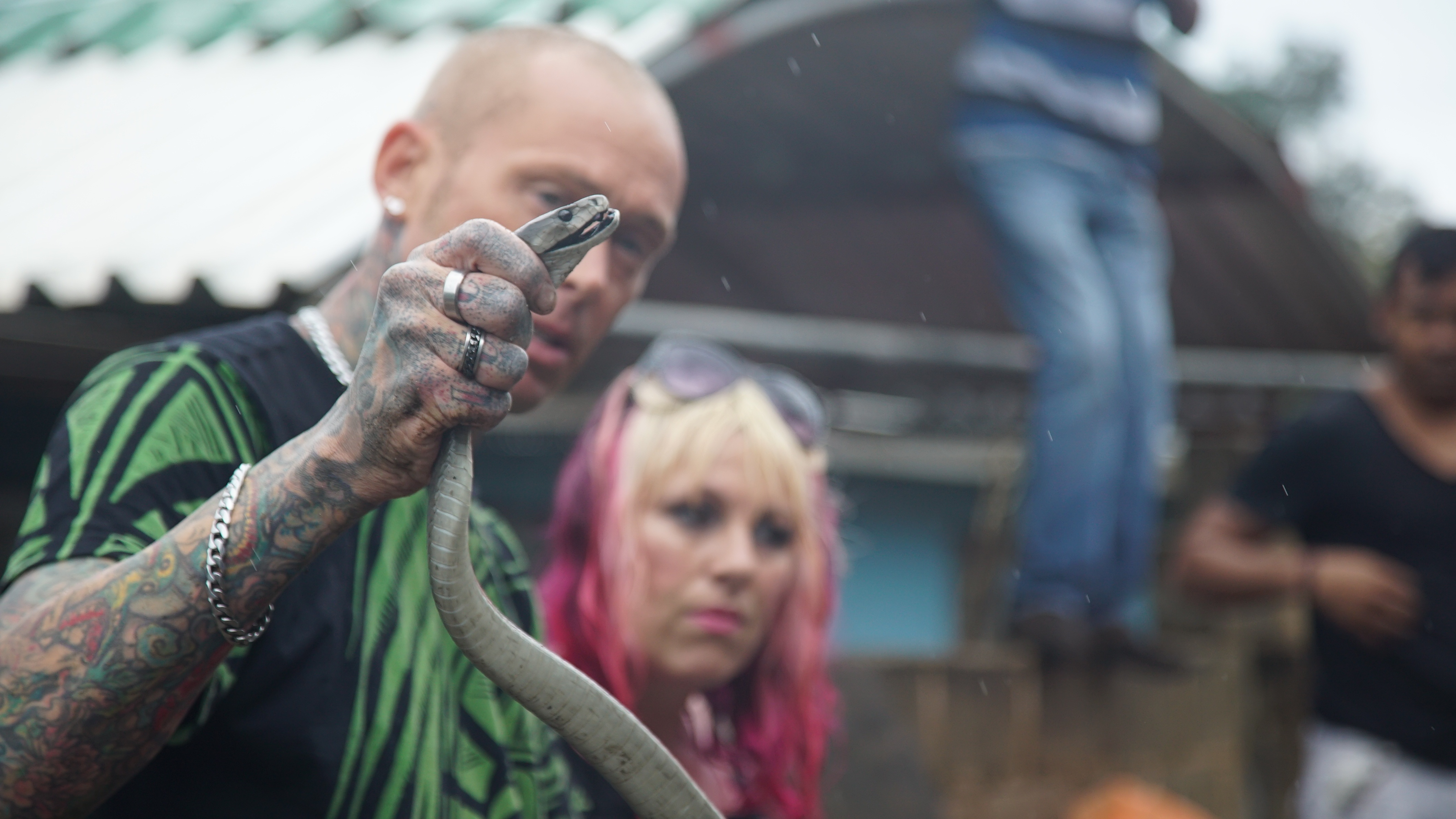 Snakes In The City  Serpent clandestin (2).jpg