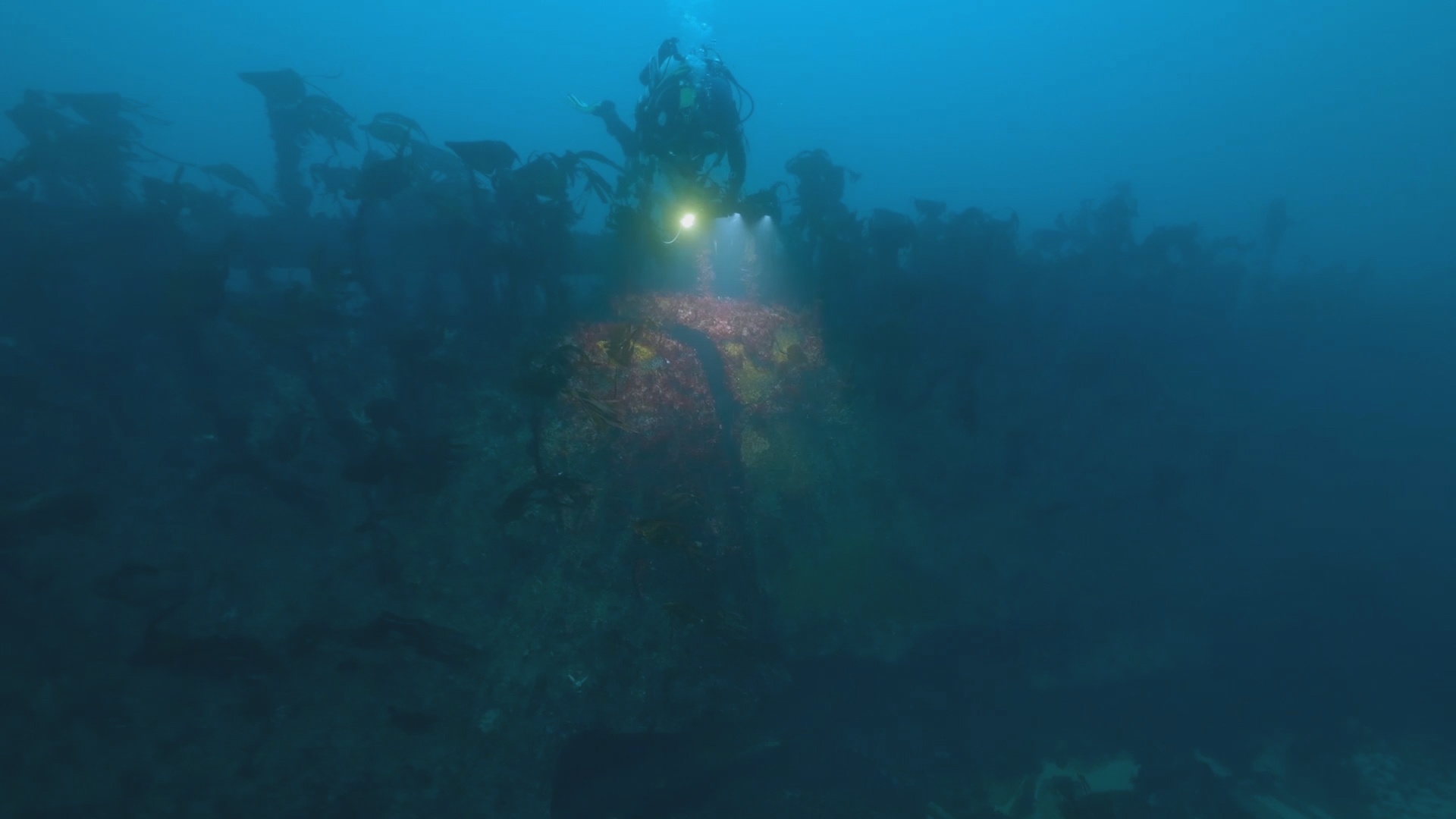 Trésors sous les mers  Vols éternels (1).jpg