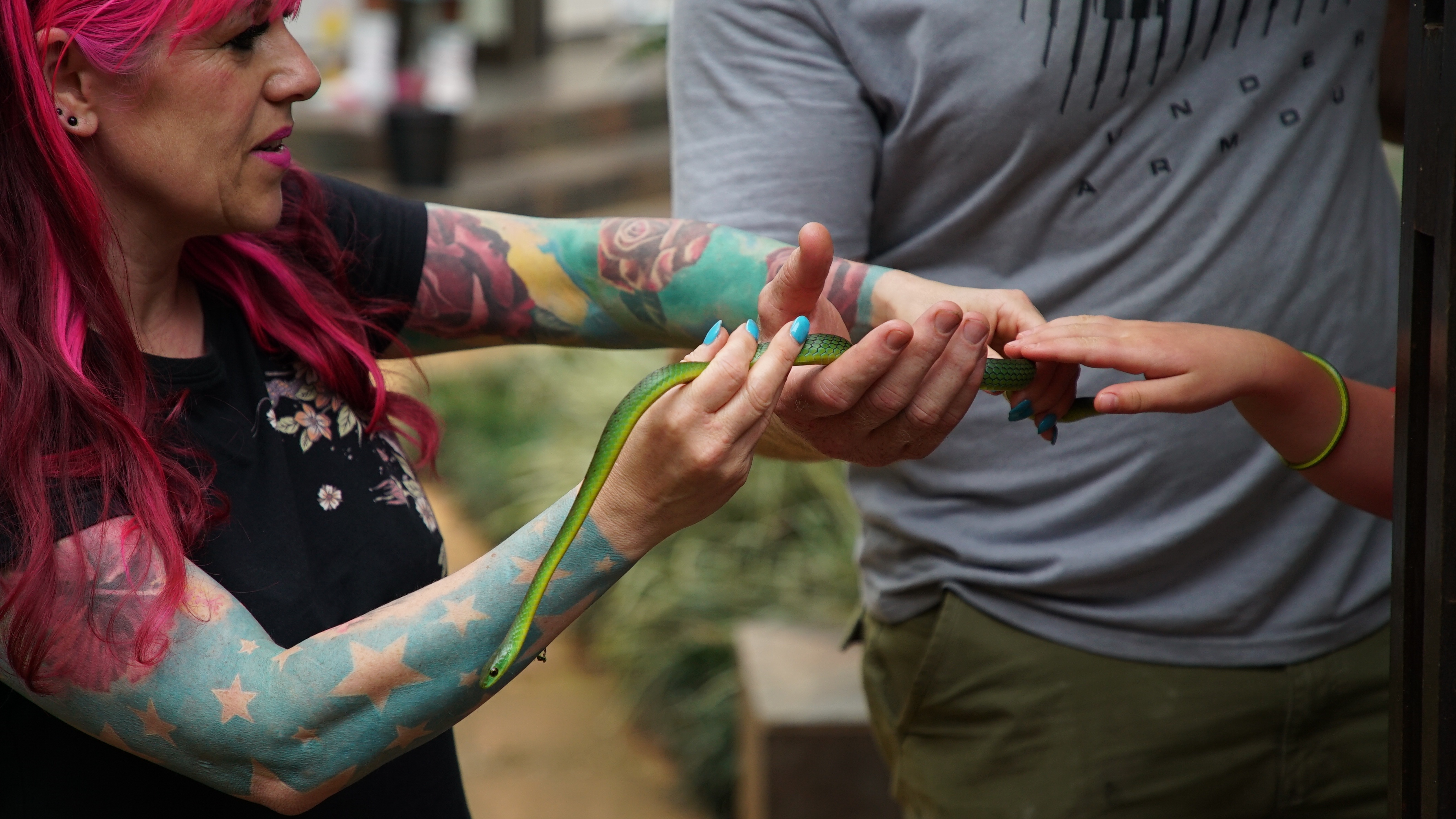 Snakes in the City  Une femme en mission (3).jpg